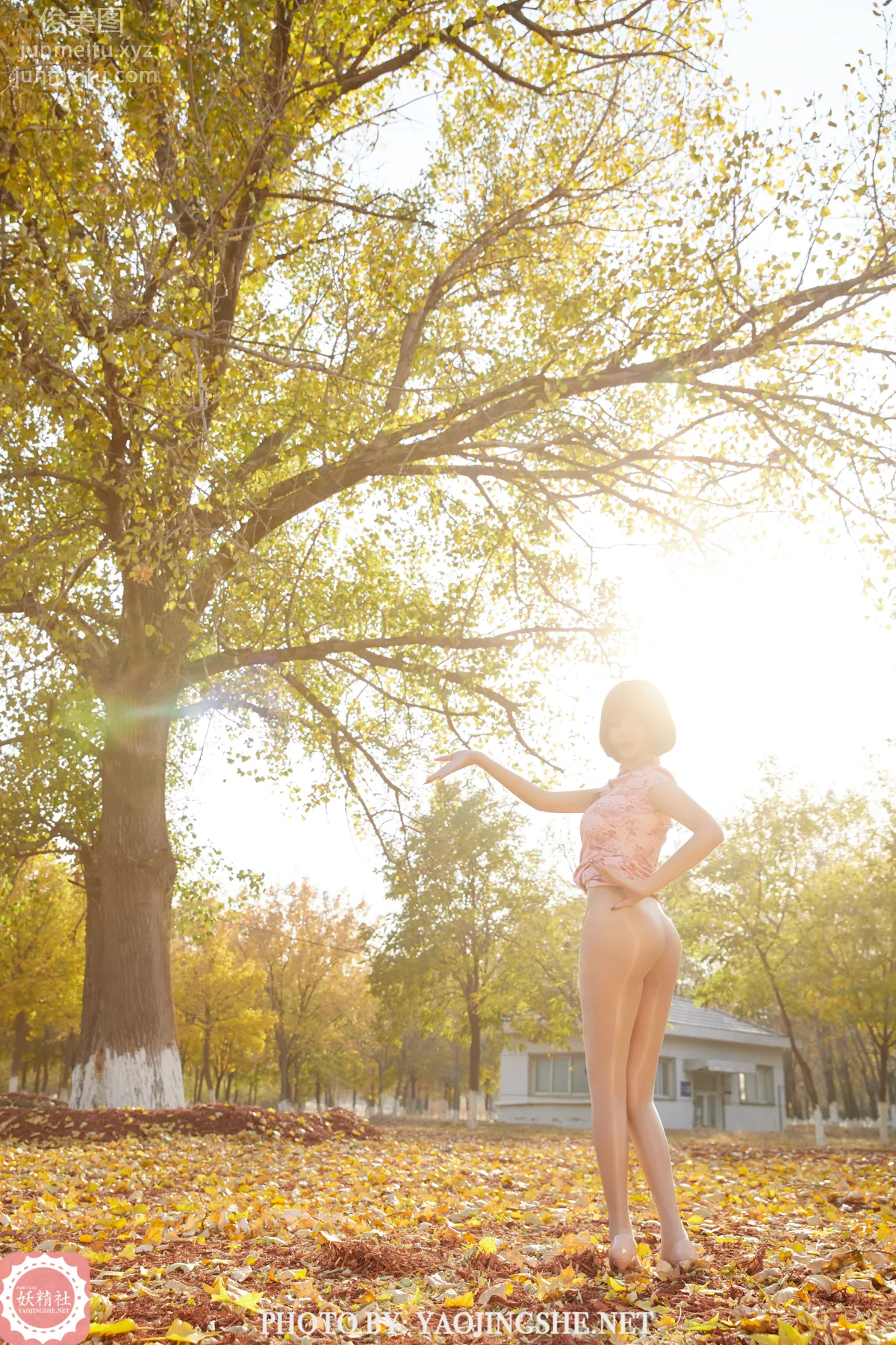 Tang Feifei: Yaojingshe photo 21