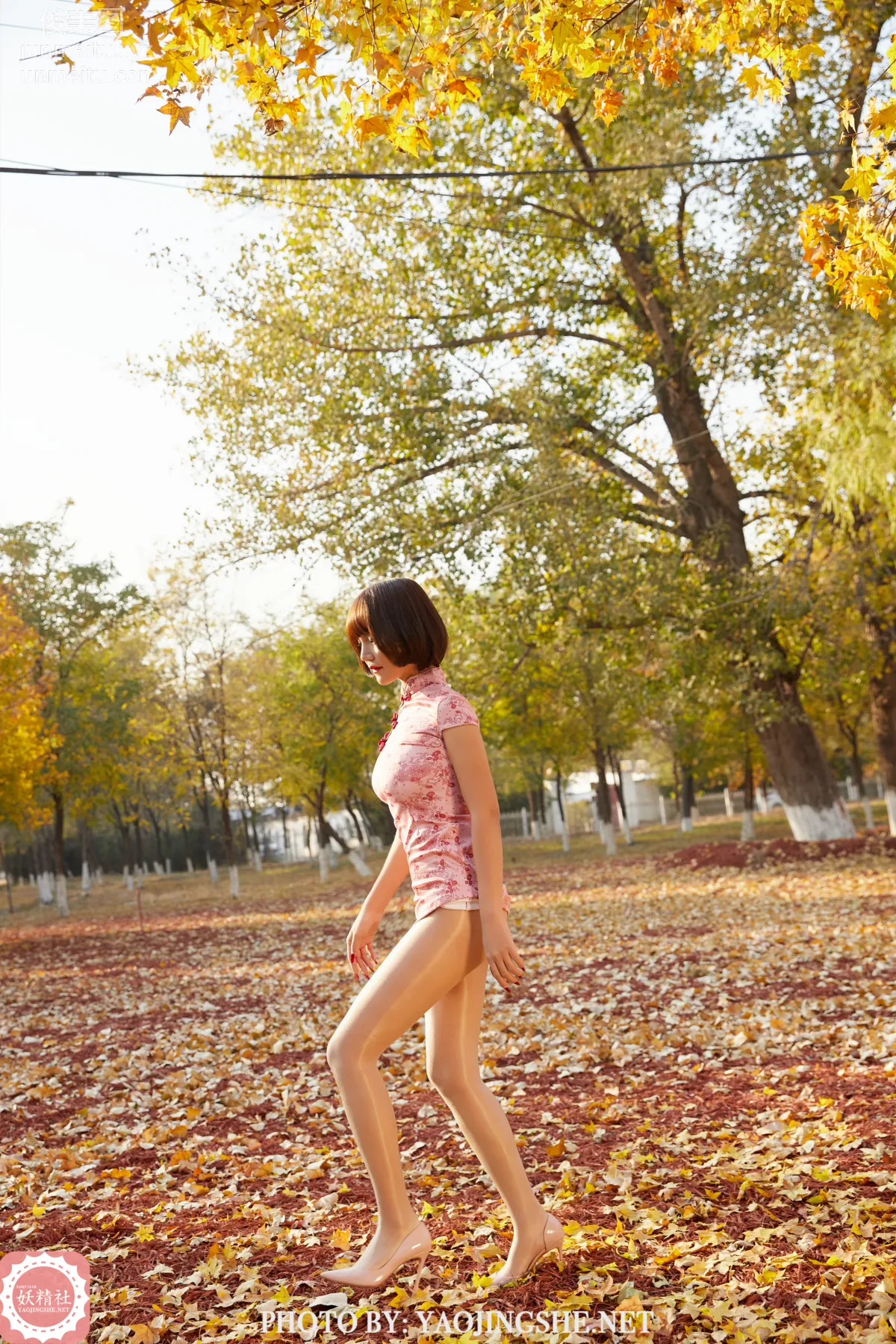 Tang Feifei: Yaojingshe photo 37