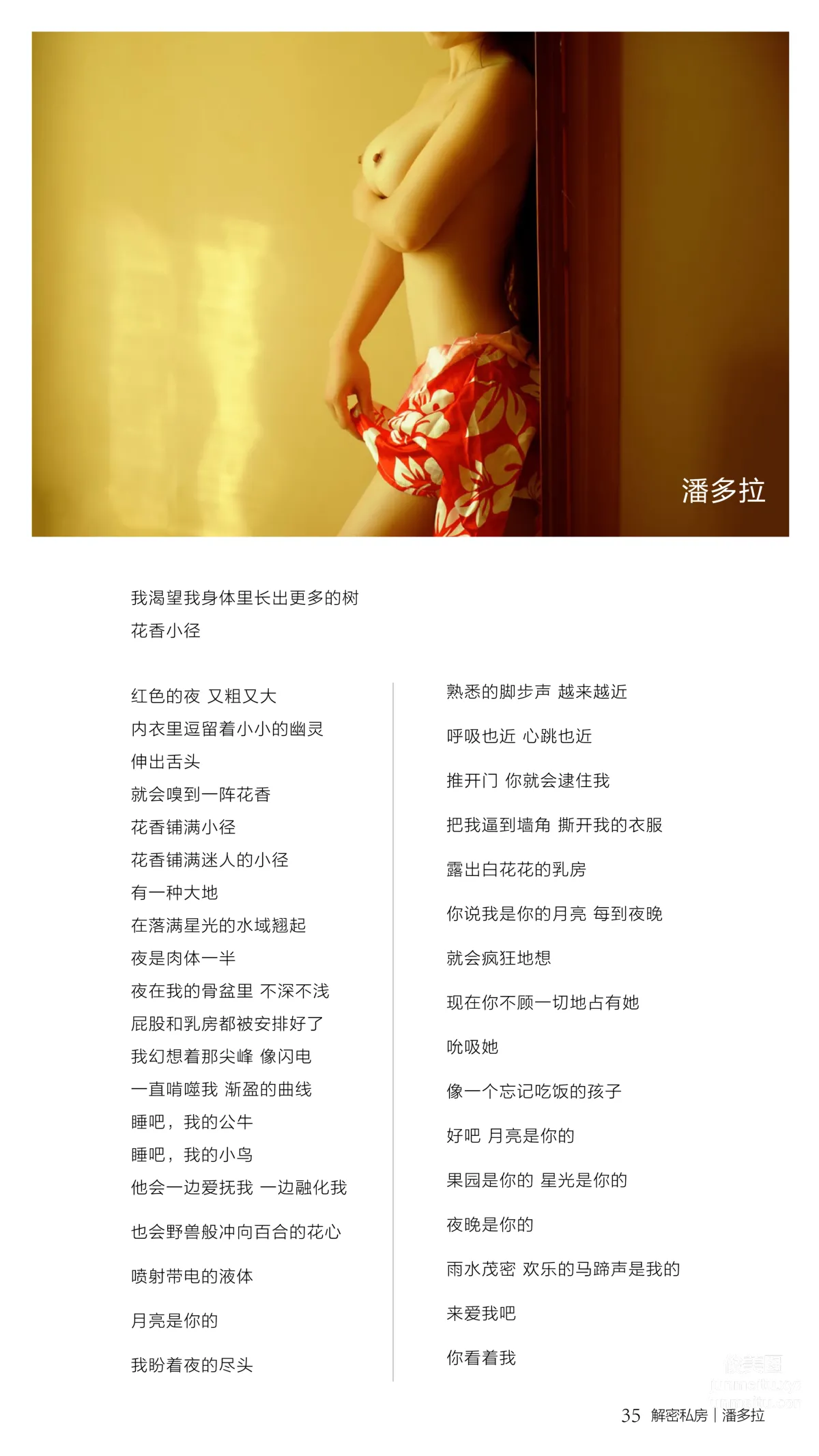 Pandora photo 36