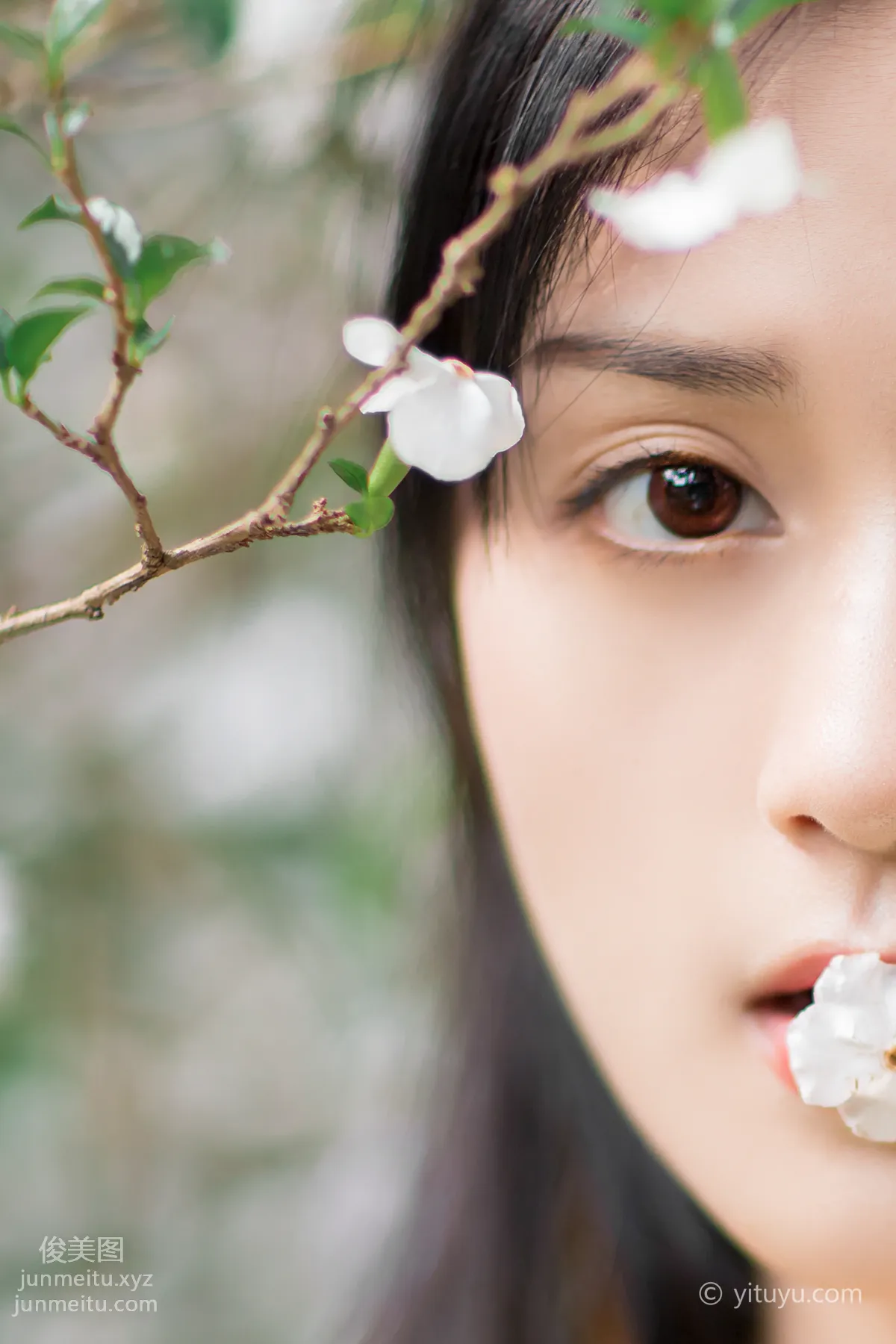 Yu Wen: YiTuYu photo 7