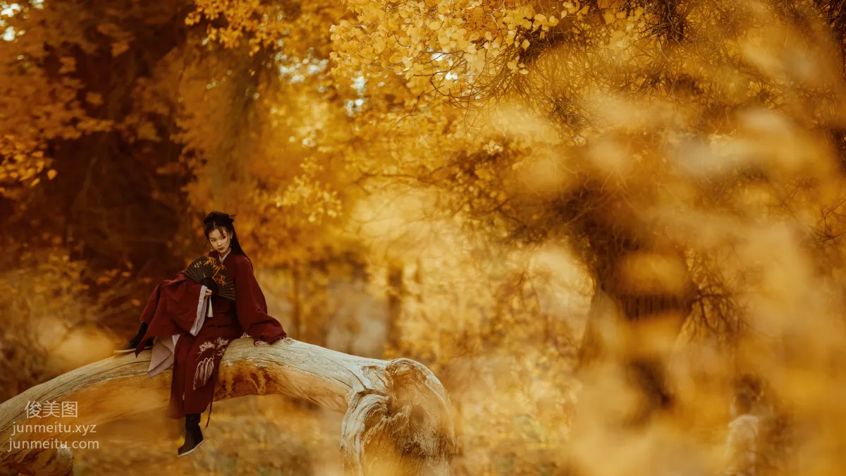 Bo He: YiTuYu photo 6