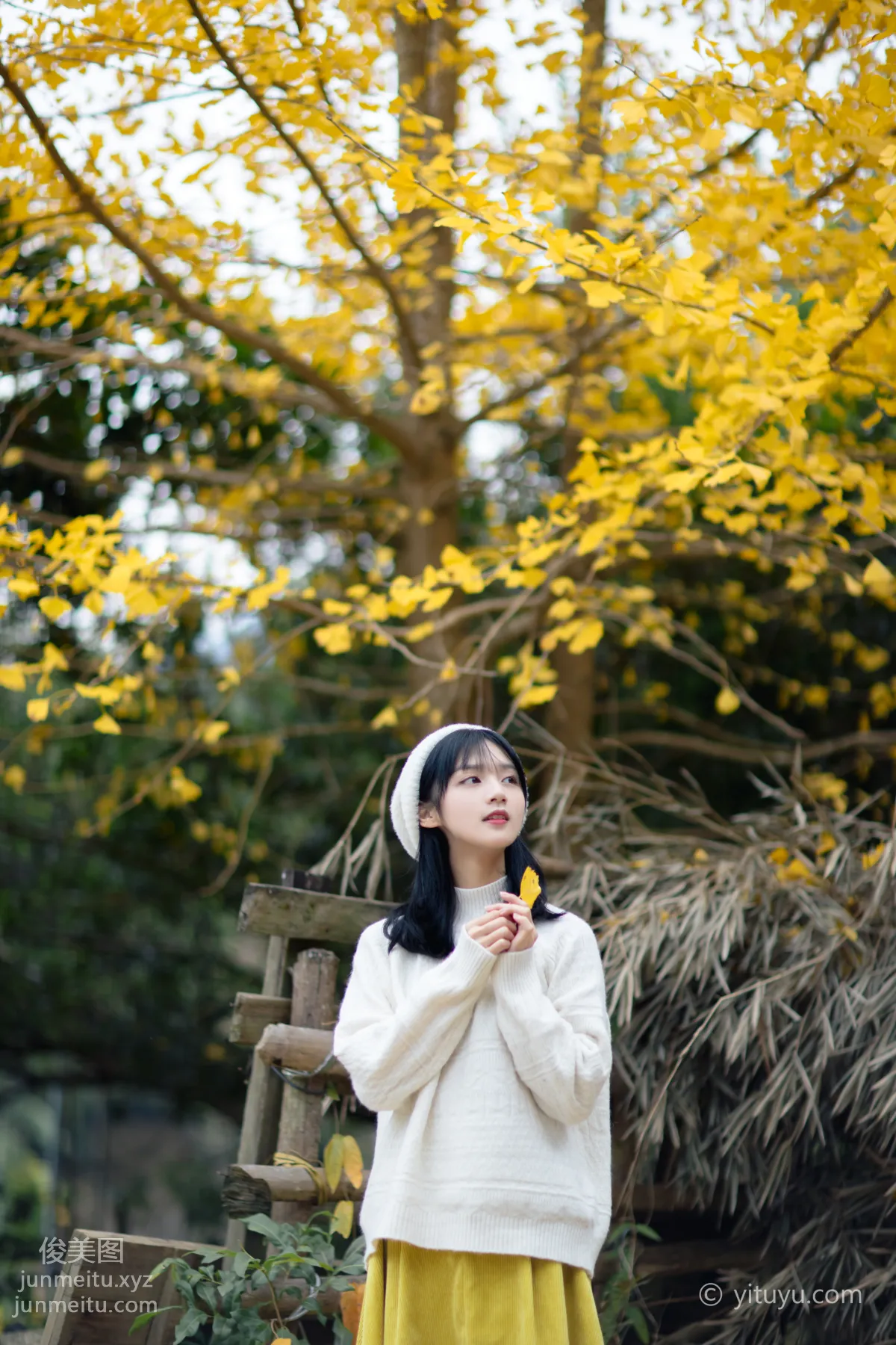 Yu Wen: YiTuYu photo 3