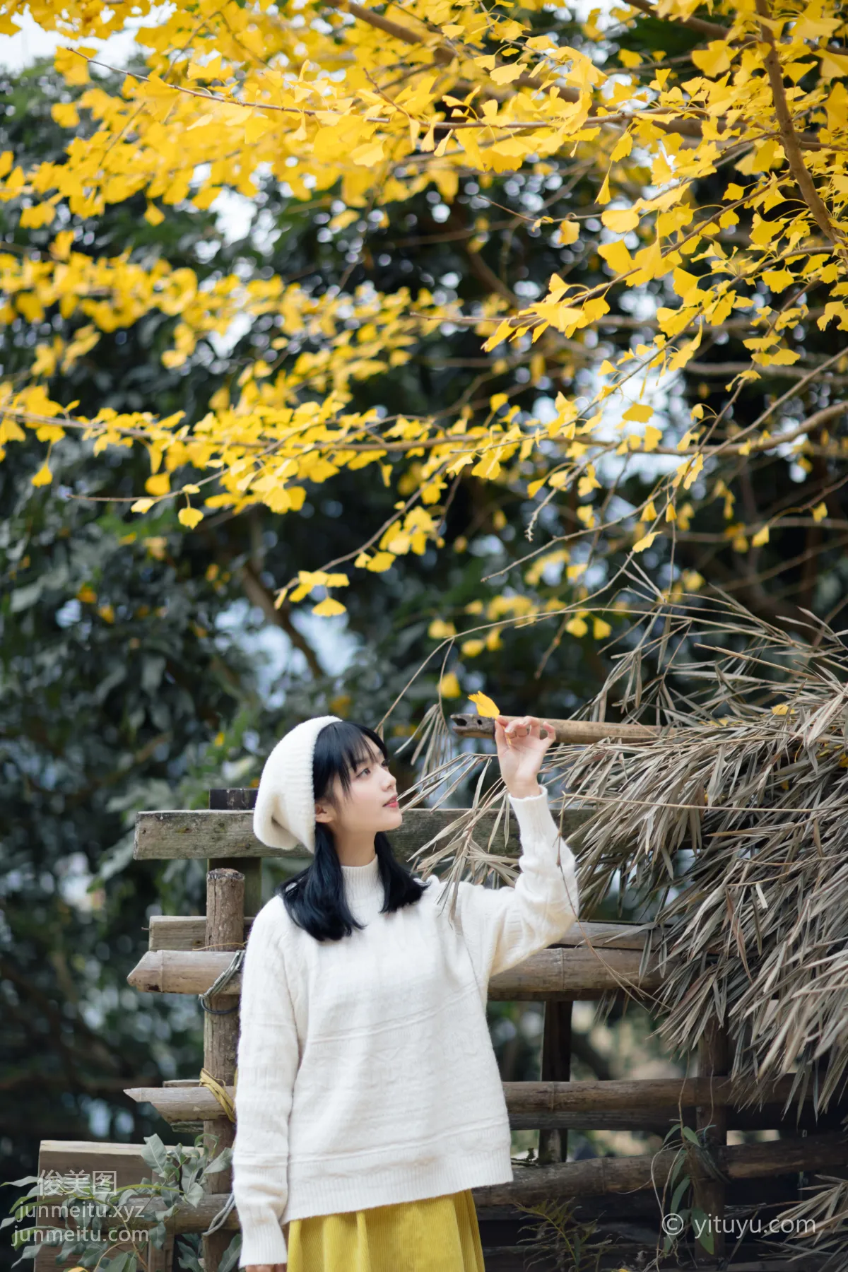Yu Wen: YiTuYu photo 9