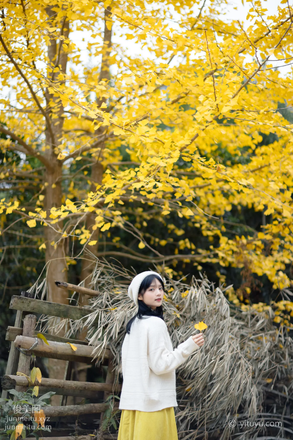 Yu Wen: YiTuYu photo 10