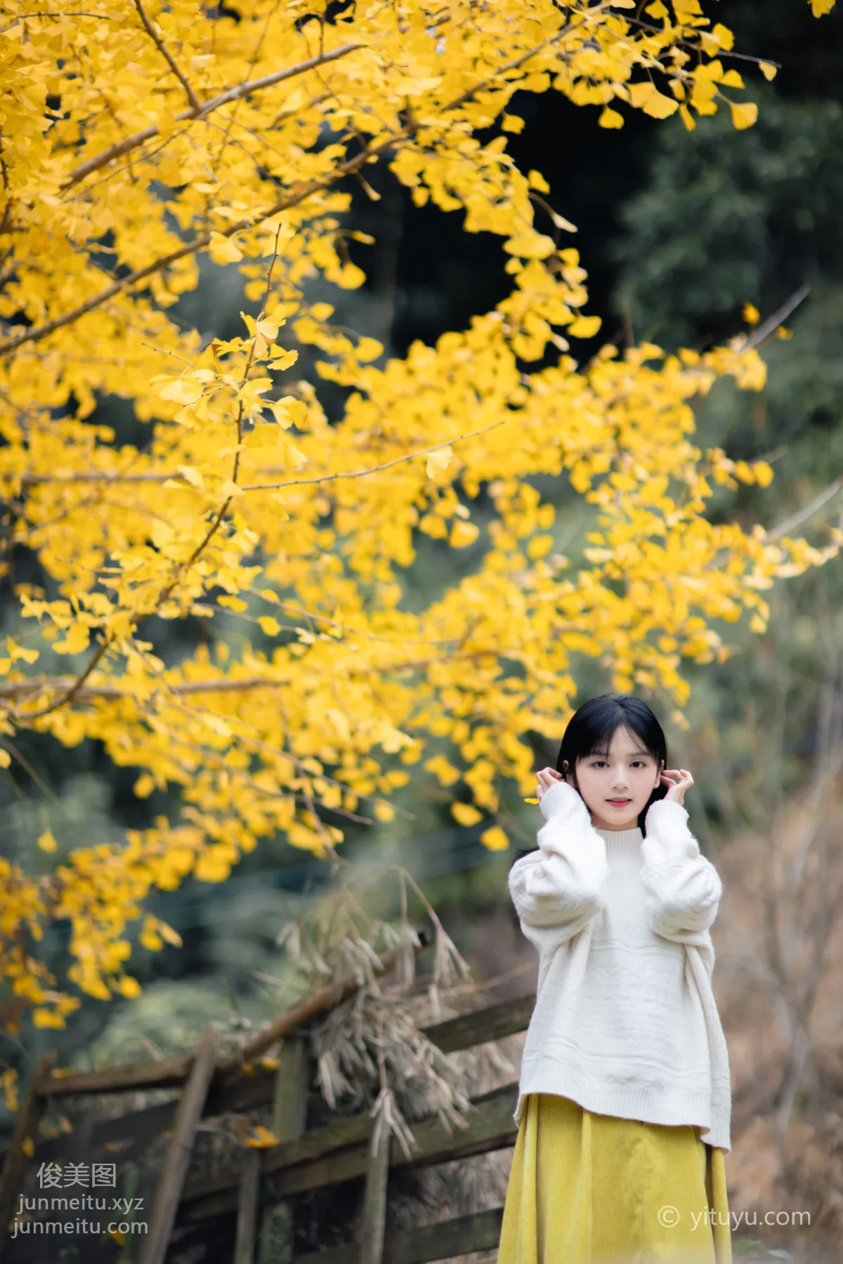 Yu Wen: YiTuYu photo 17