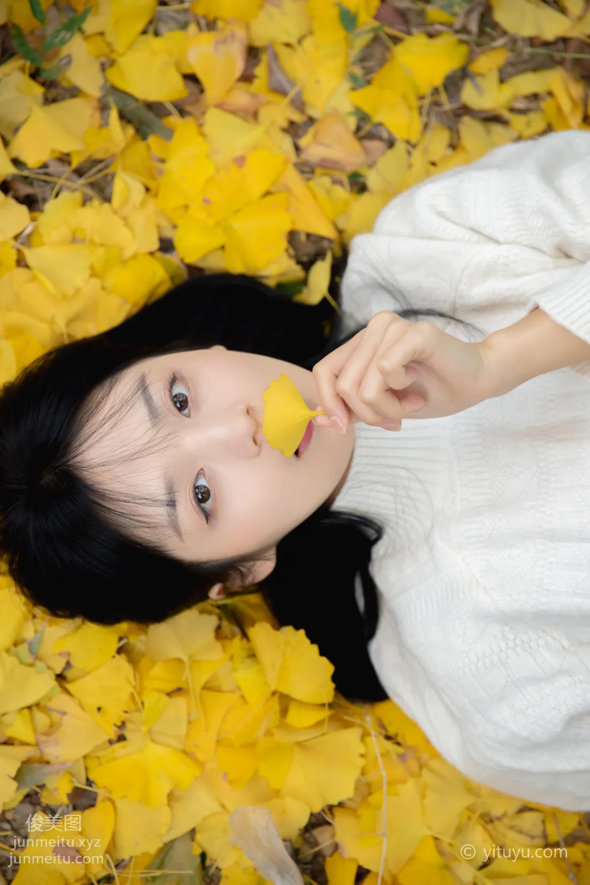 Yu Wen: YiTuYu photo 26