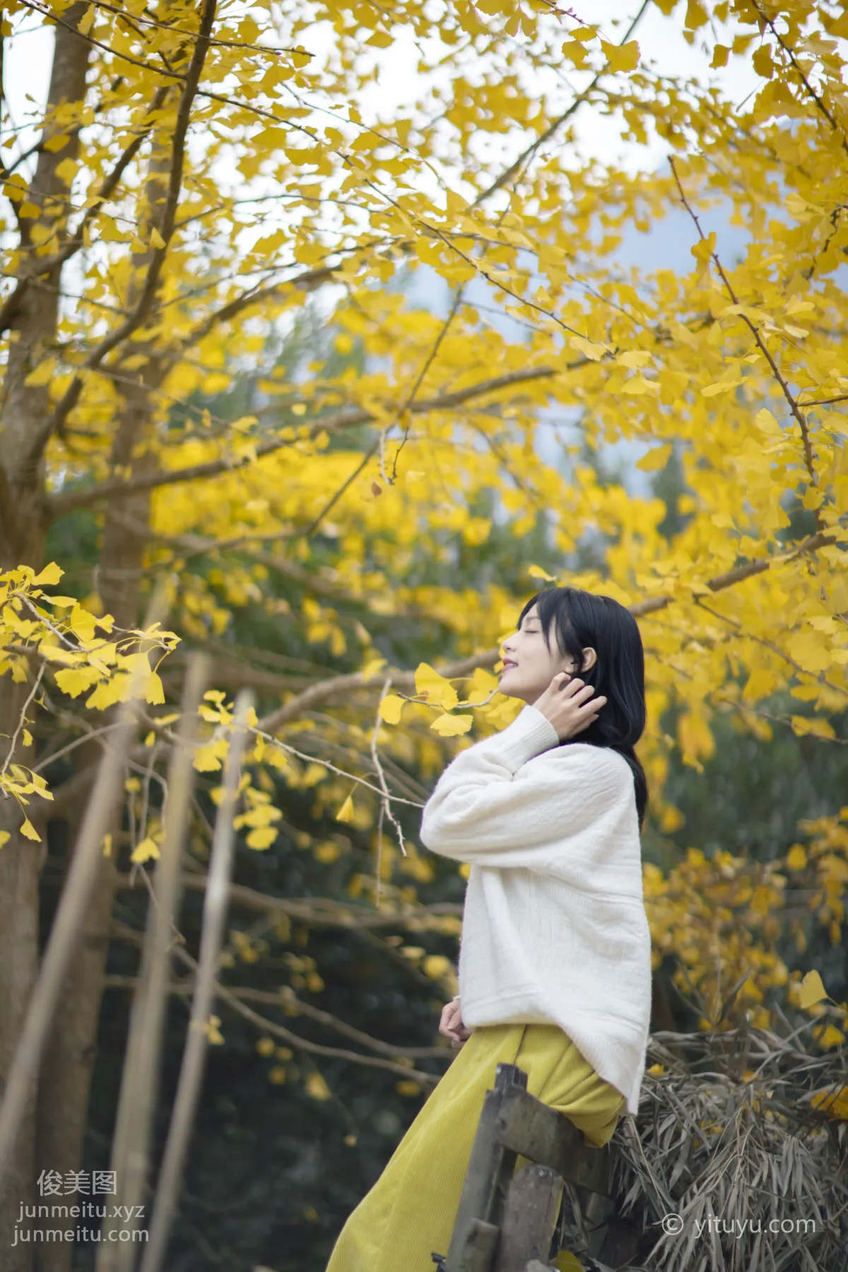 Yu Wen: YiTuYu photo 31