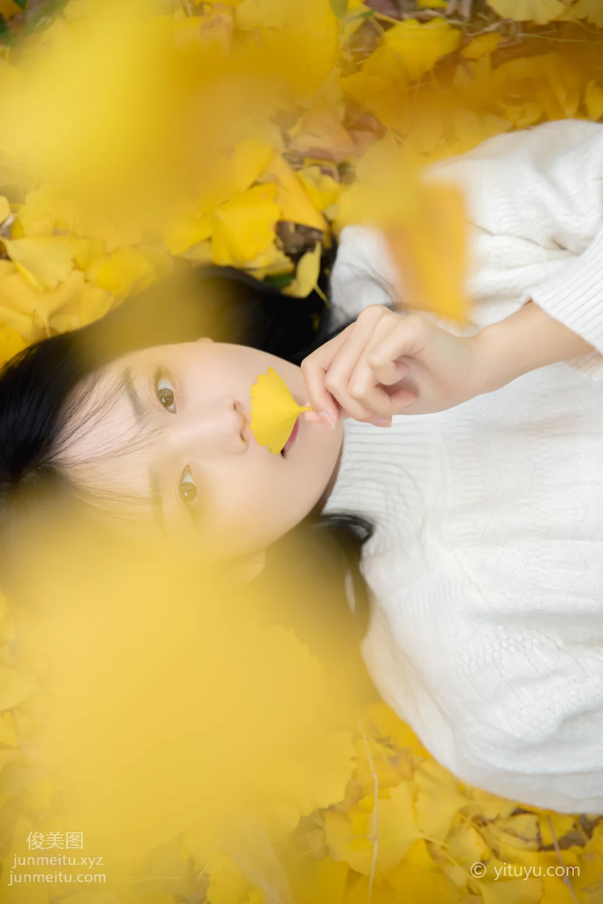 Yu Wen: YiTuYu photo 32