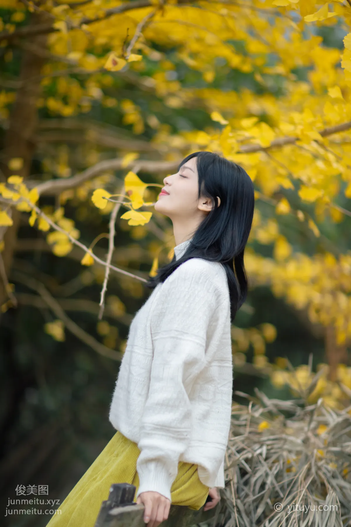 Yu Wen: YiTuYu photo 38