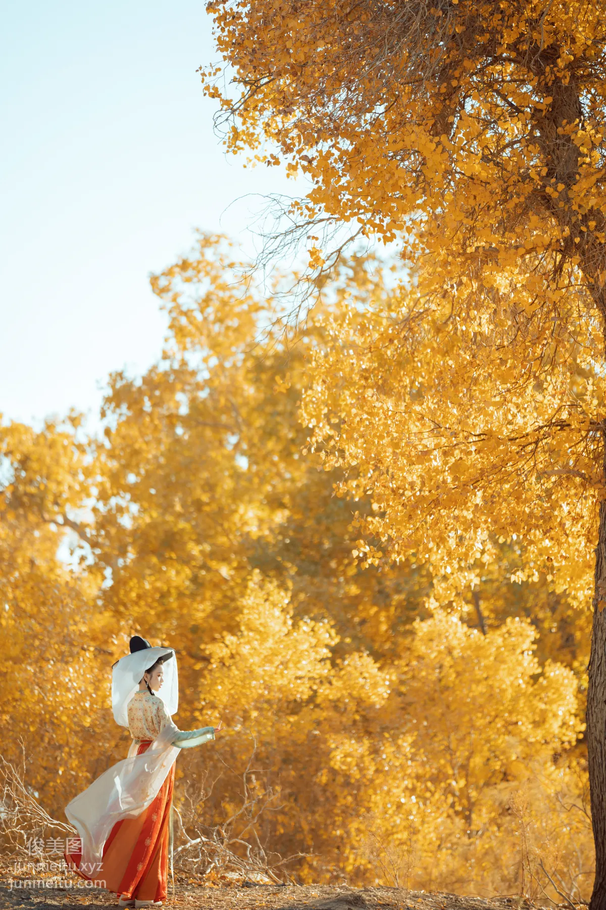 Bo He: YiTuYu photo 6