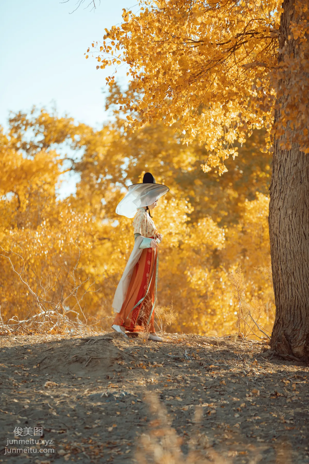 Bo He: YiTuYu photo 7