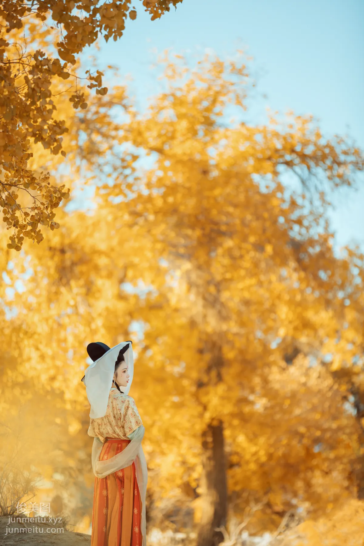 Bo He: YiTuYu photo 23