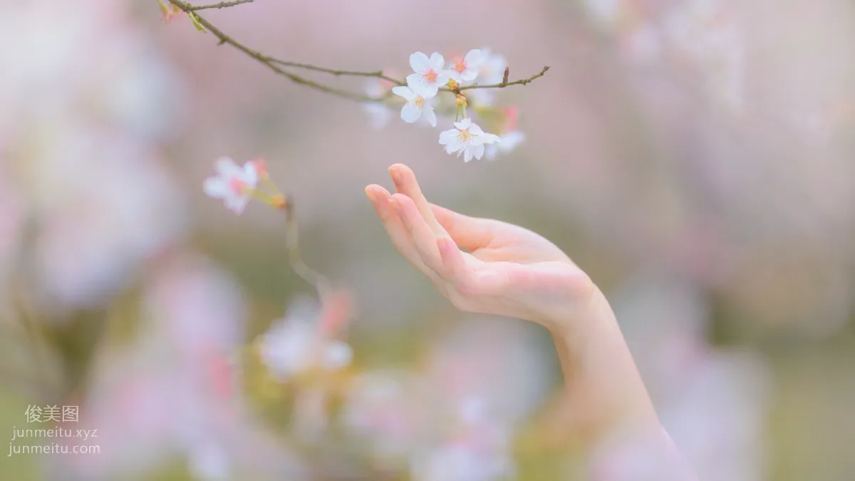 [YiTuYu] 2021.08.27 Sakura's Story, Maoxia Xiaoka photo 4