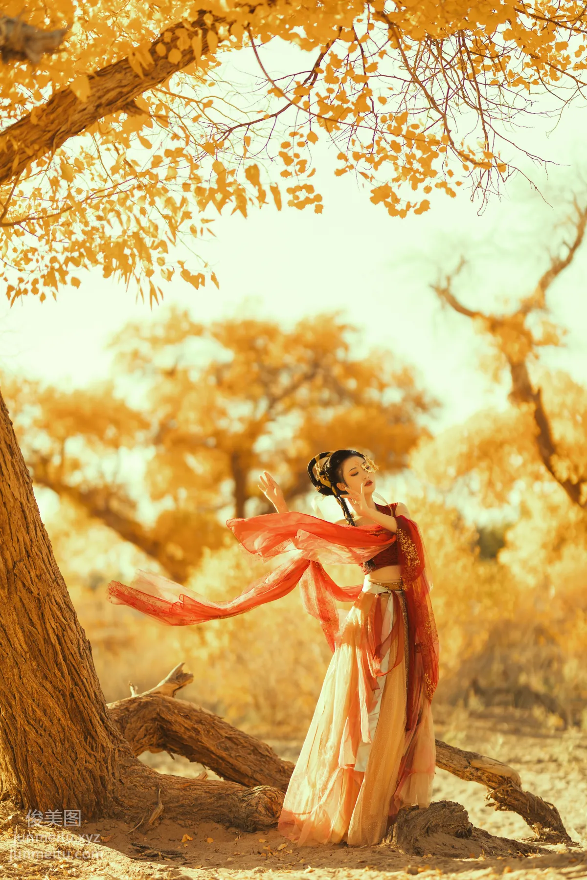 Fu Xizi: YiTuYu photo 2