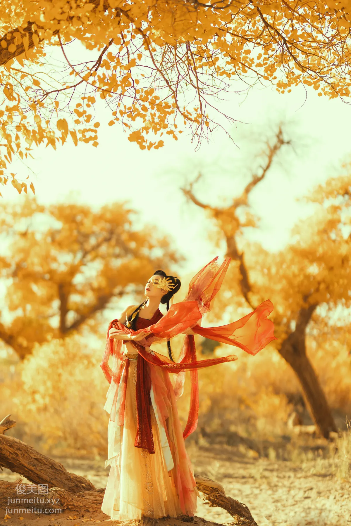 Fu Xizi: YiTuYu photo 3