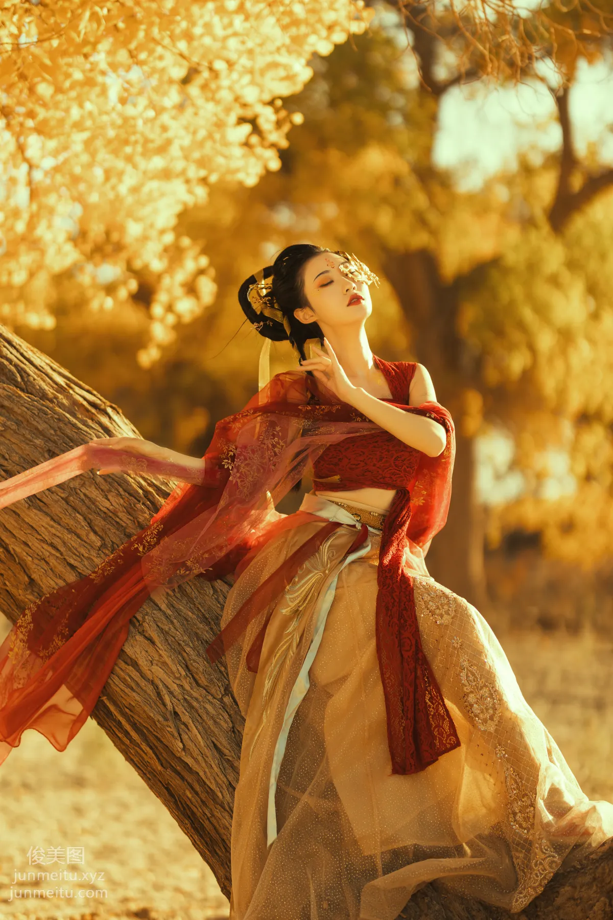 Fu Xizi: YiTuYu photo 10
