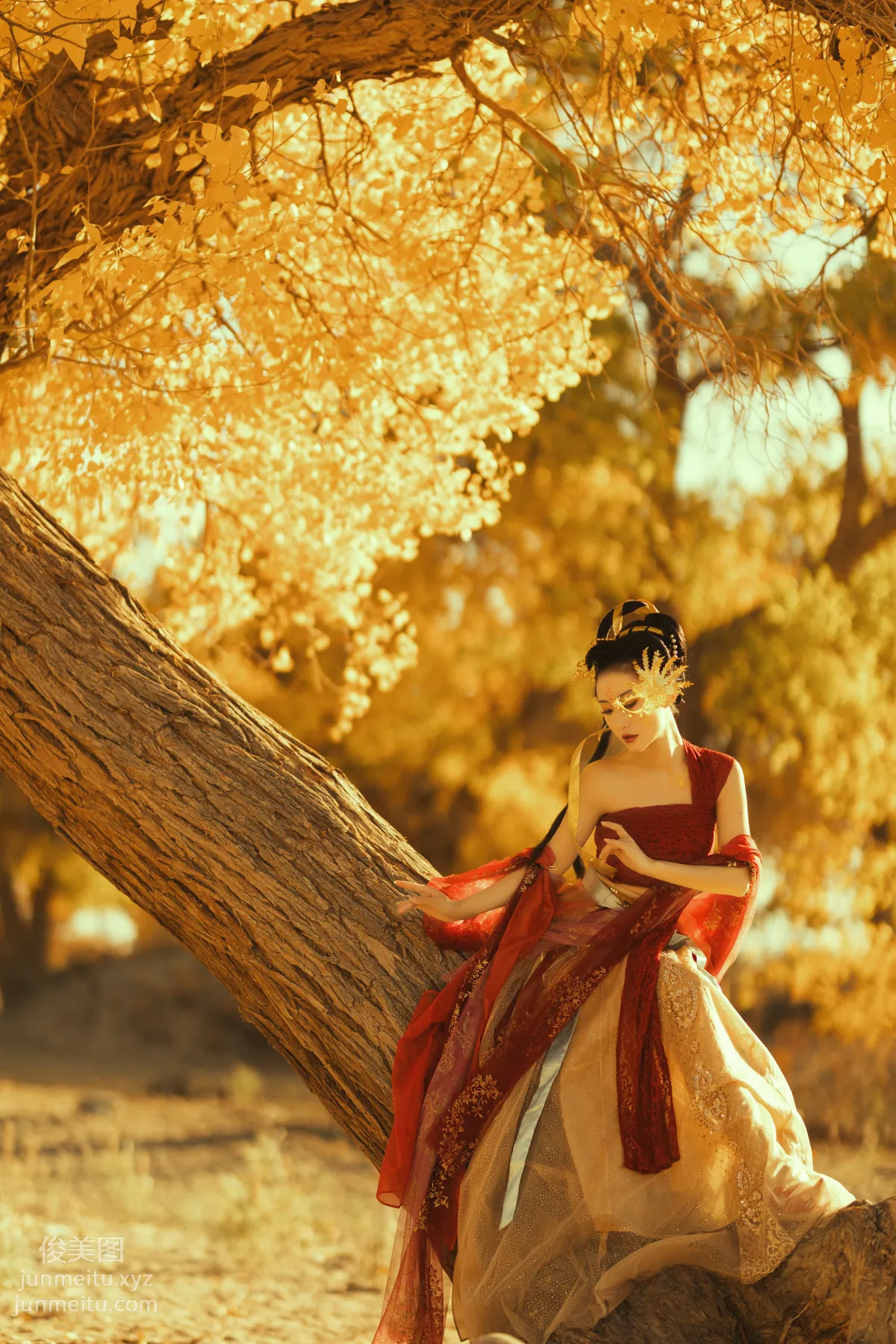 Fu Xizi: YiTuYu photo 11