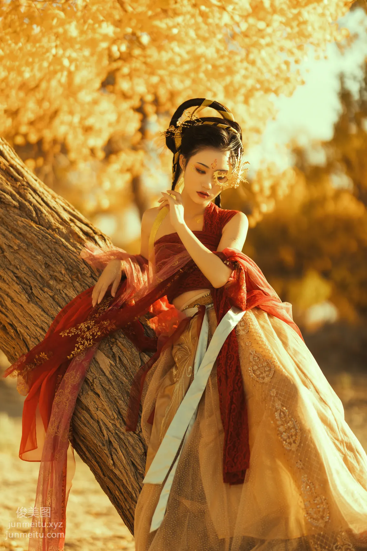 Fu Xizi: YiTuYu photo 12