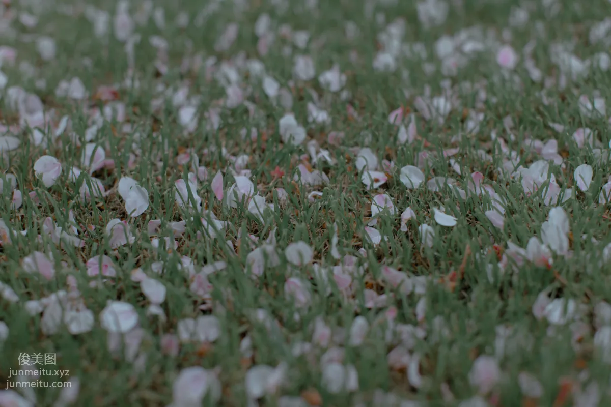 [YiTuYu] 2021.09.02 Cherry Blossoms Falling, Tang Xixi photo 32