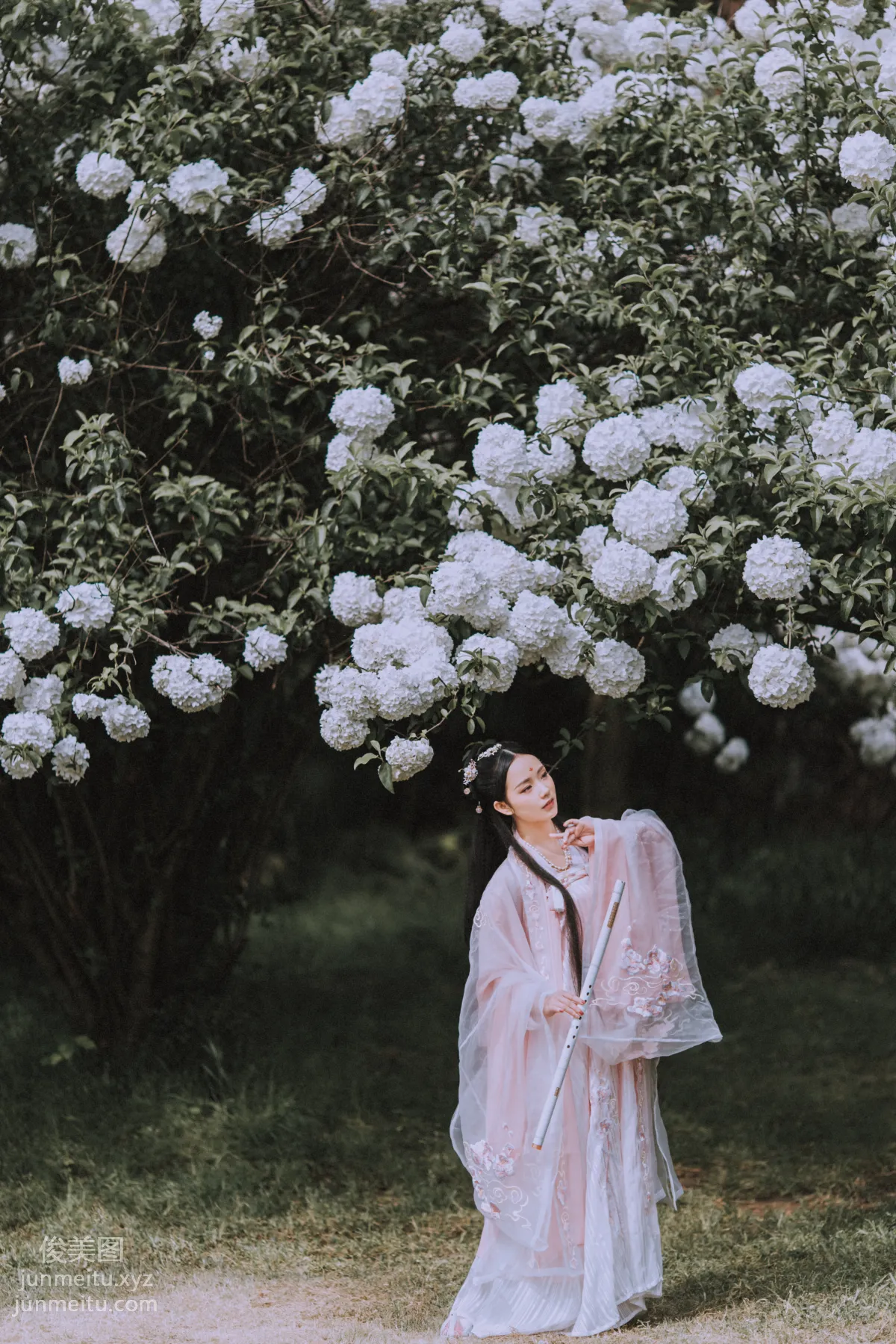 Seven: YiTuYu photo 6