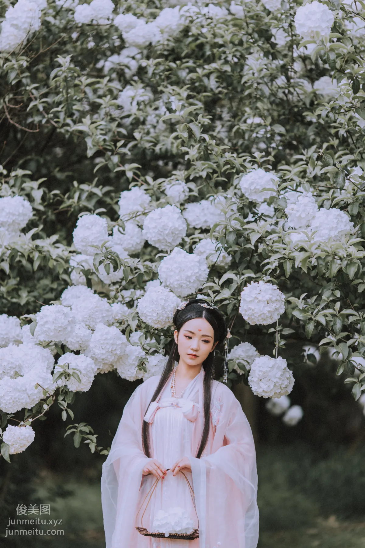 Seven: YiTuYu photo 15