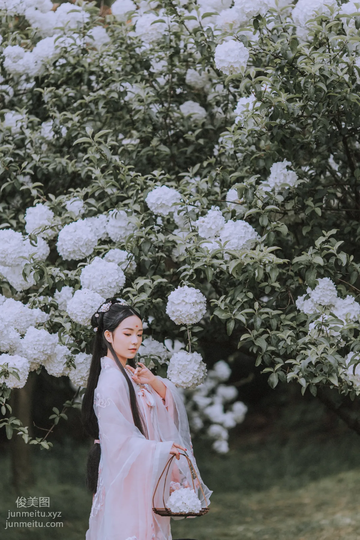 Seven: YiTuYu photo 17