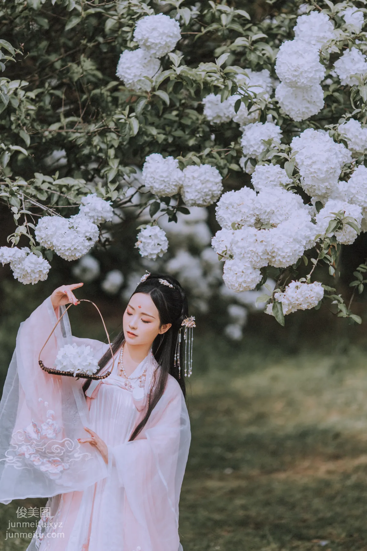 Seven: YiTuYu photo 20