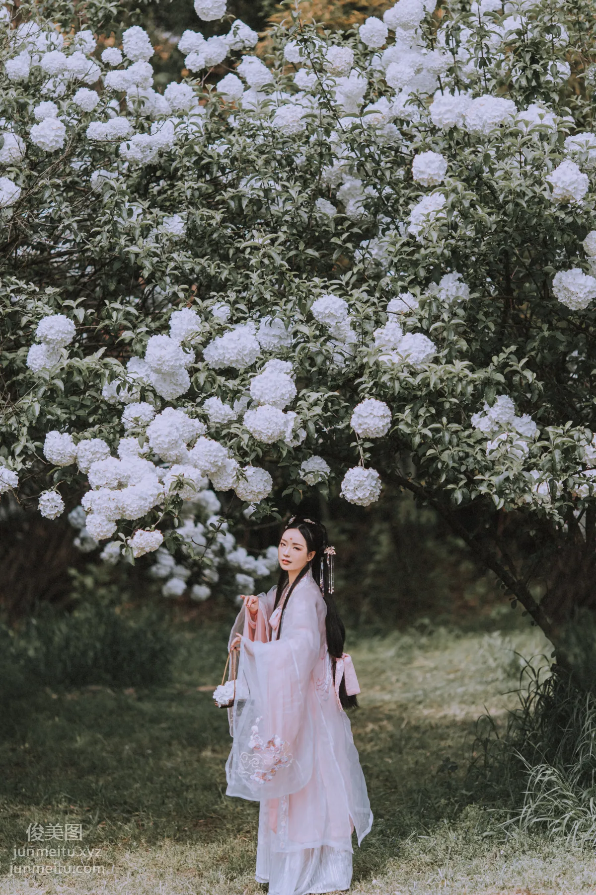 Seven: YiTuYu photo 21