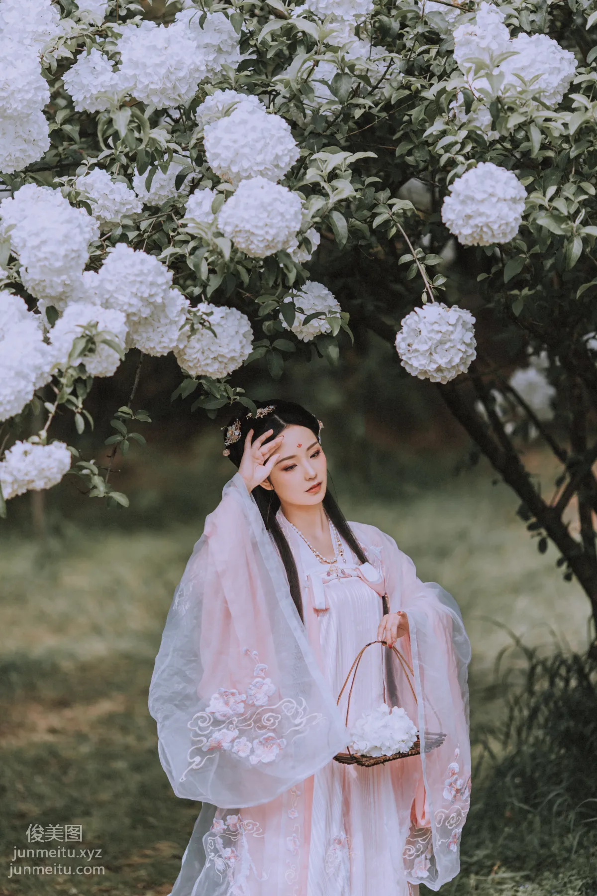 Seven: YiTuYu photo 25