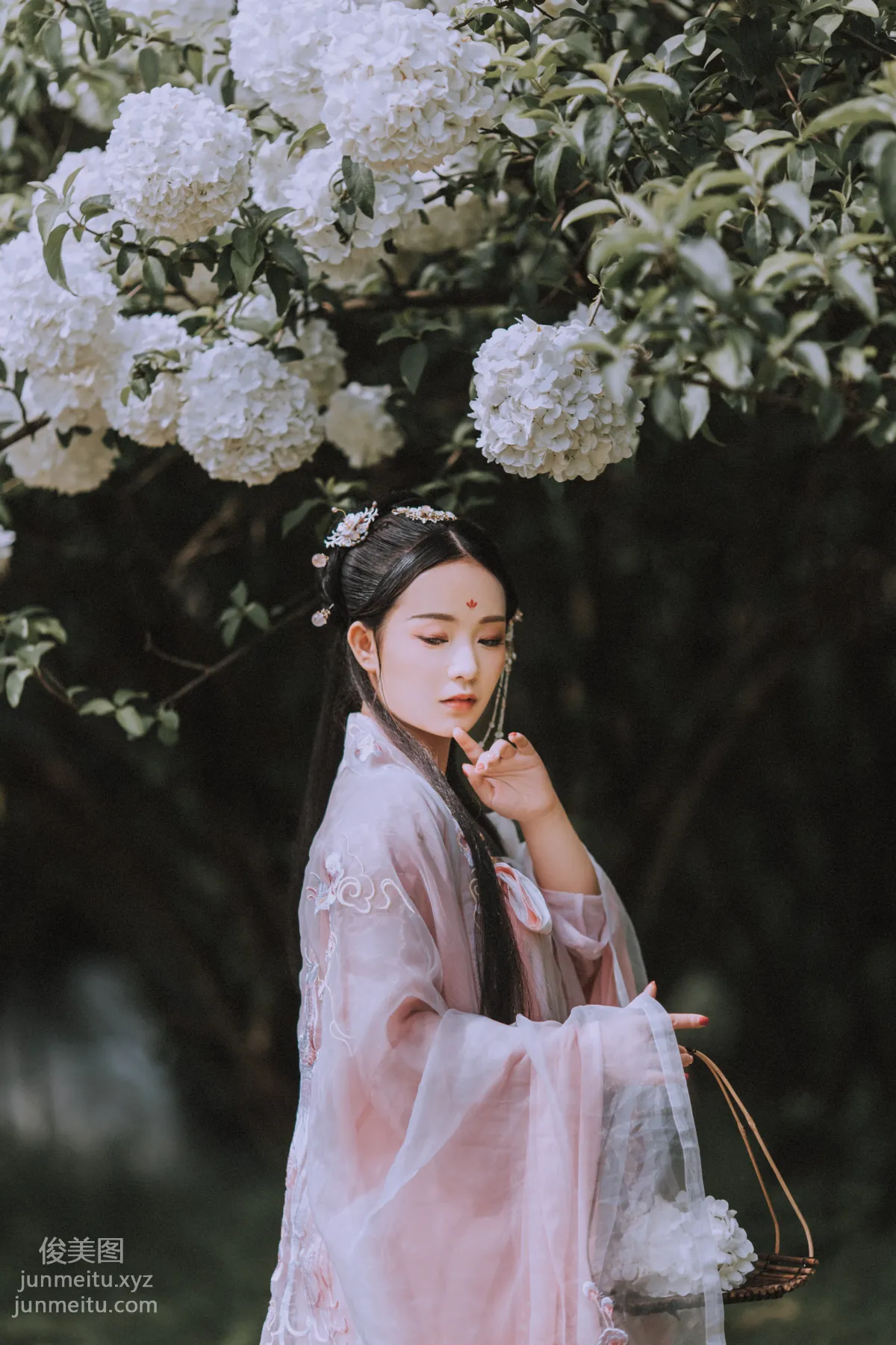 Seven: YiTuYu photo 27