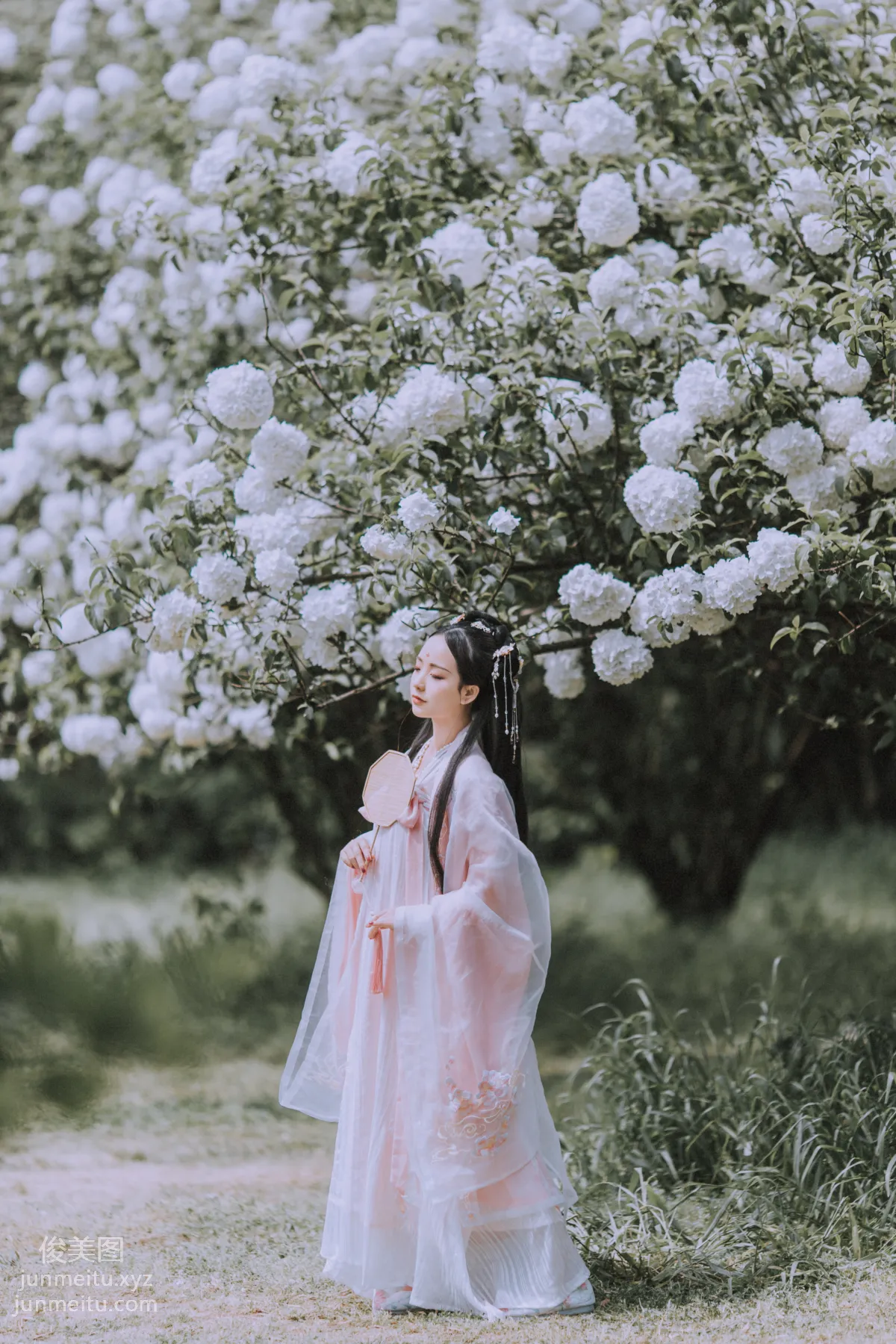 Seven: YiTuYu photo 29