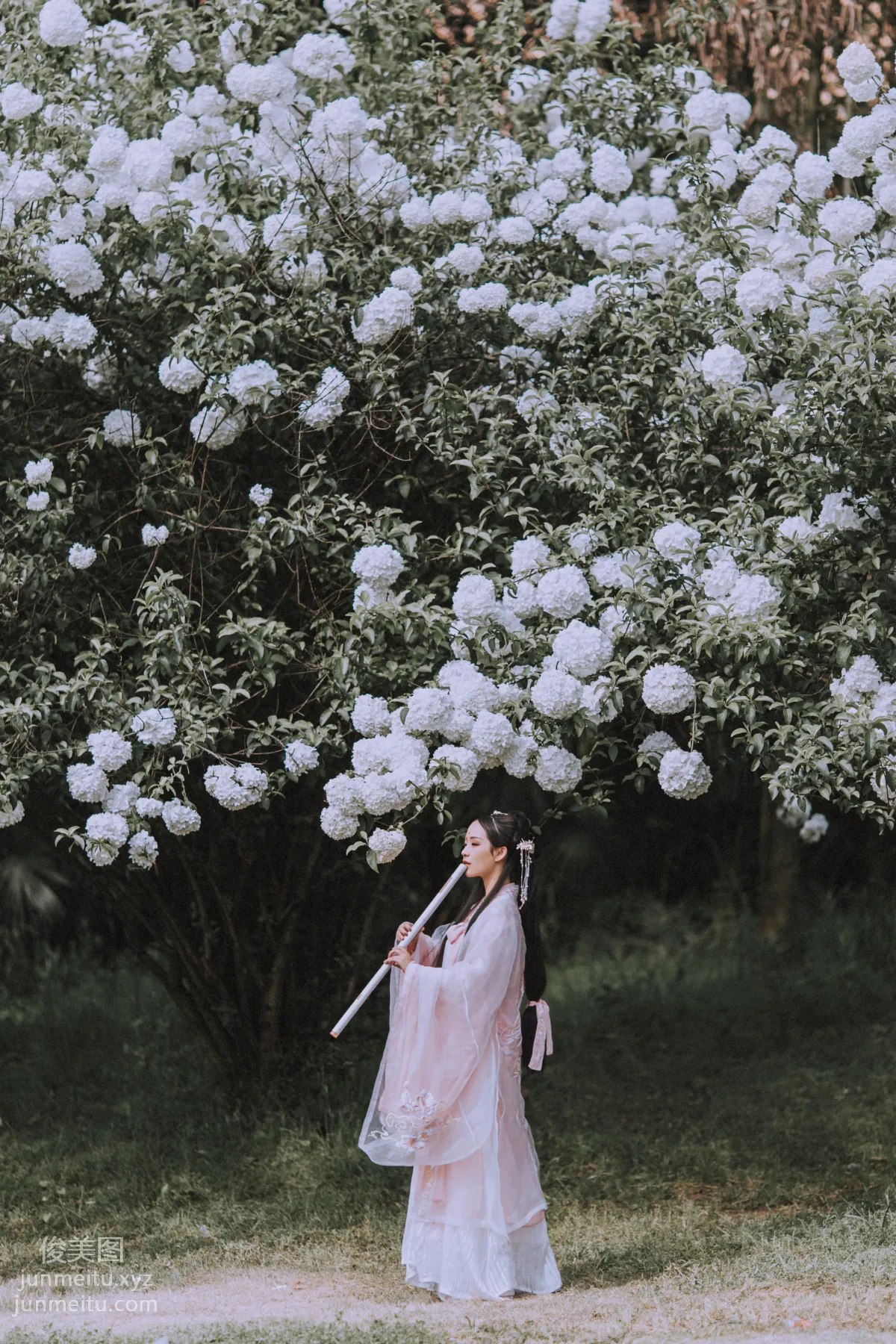 Seven: YiTuYu photo 32