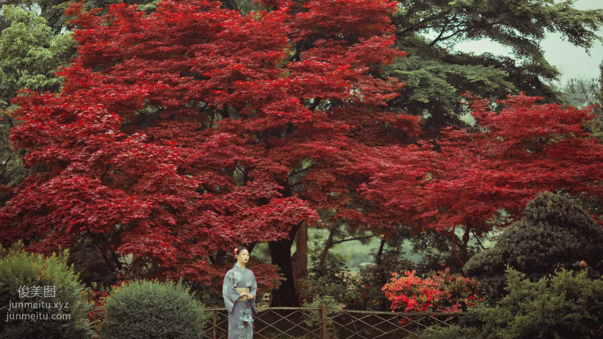 [YiTuYu] 2021.09.02 Deep in the Red Leaves, Mei Fannao photo 2