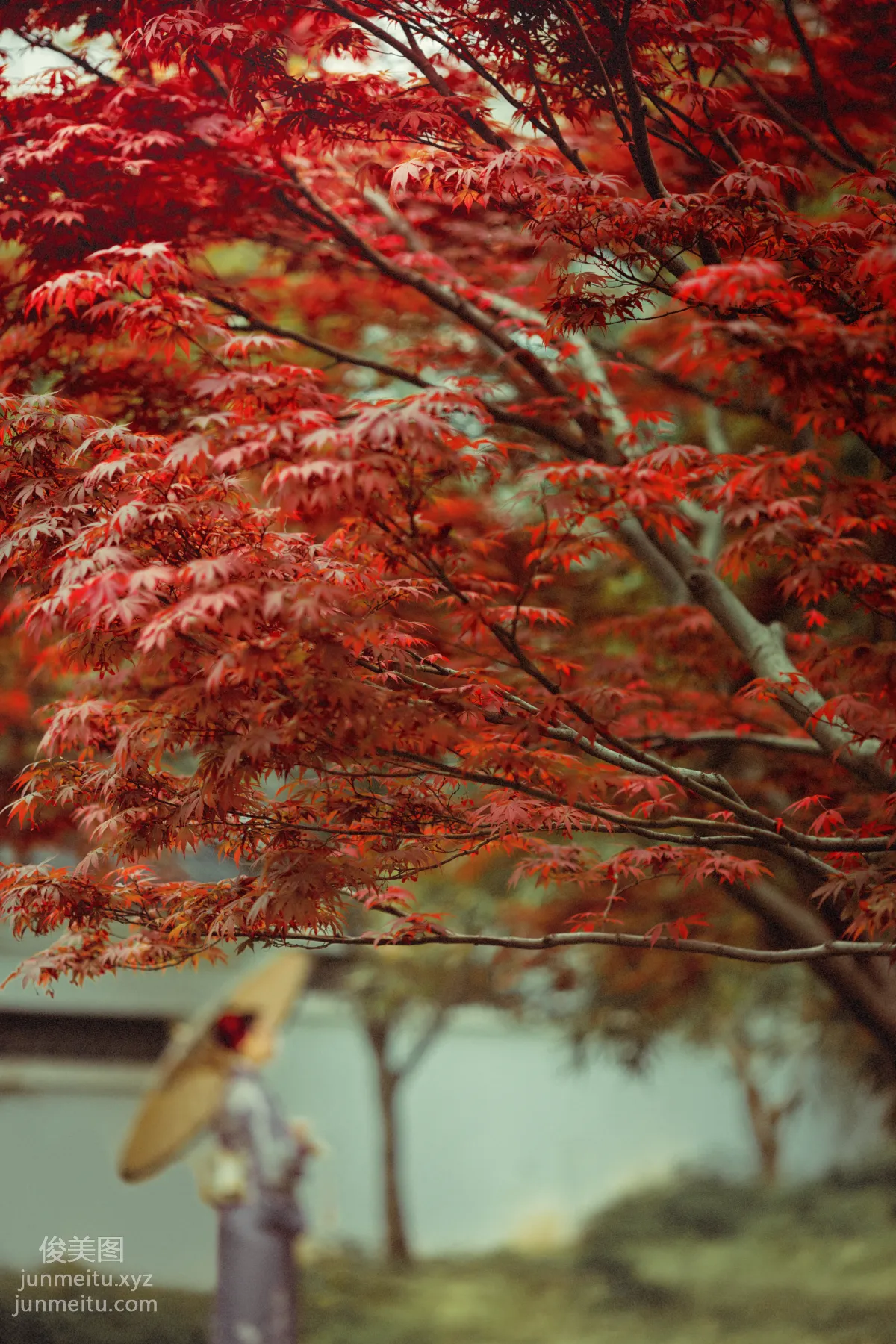 [YiTuYu] 2021.09.02 Deep in the Red Leaves, Mei Fannao photo 4