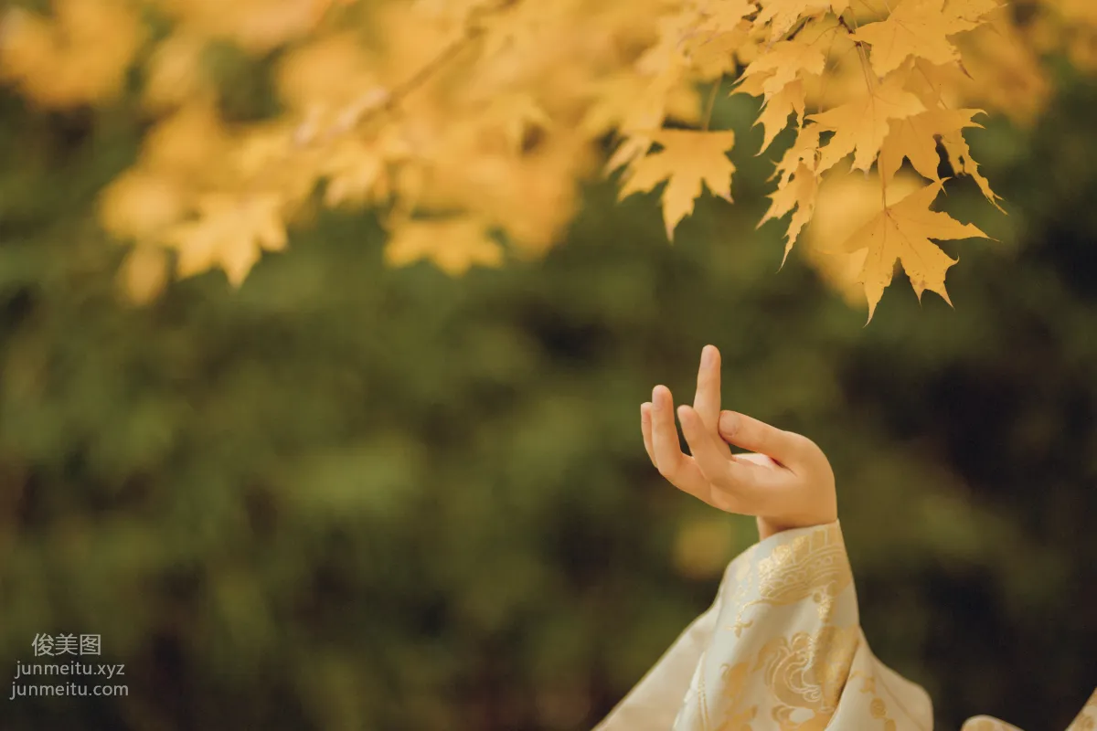 Feng Youwei: YiTuYu photo 14