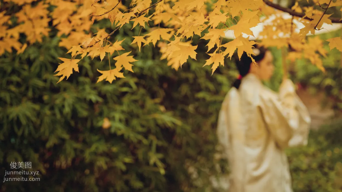 Feng Youwei: YiTuYu photo 21
