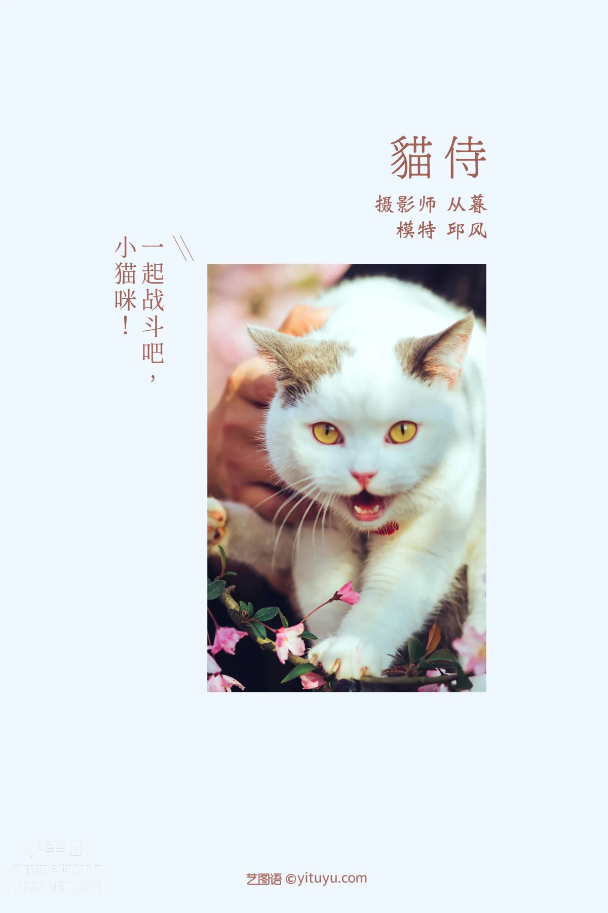 [YITUYU藝圖語]2021.09.04 貓侍 邱風 1
