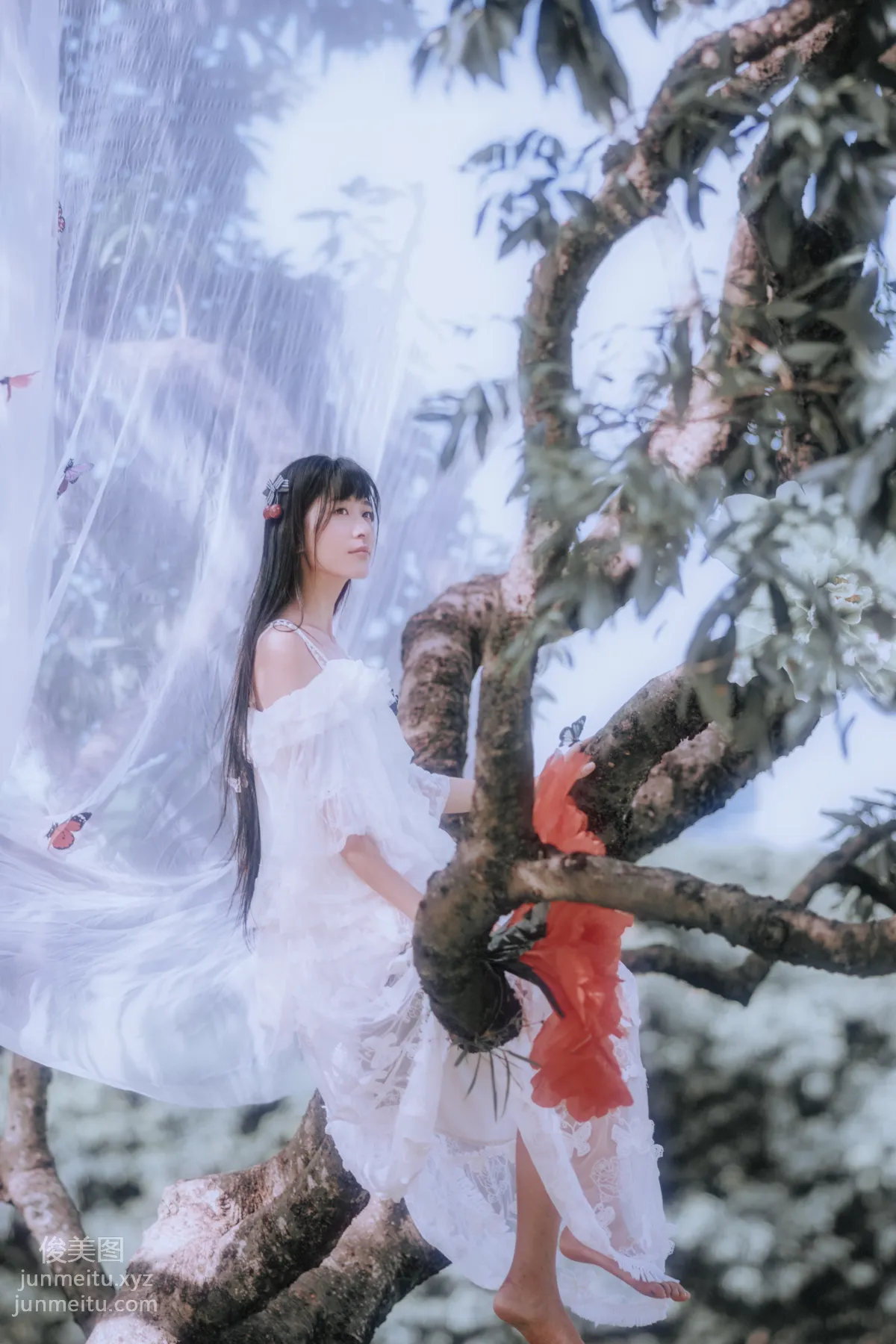 Ying Er: YiTuYu photo 2