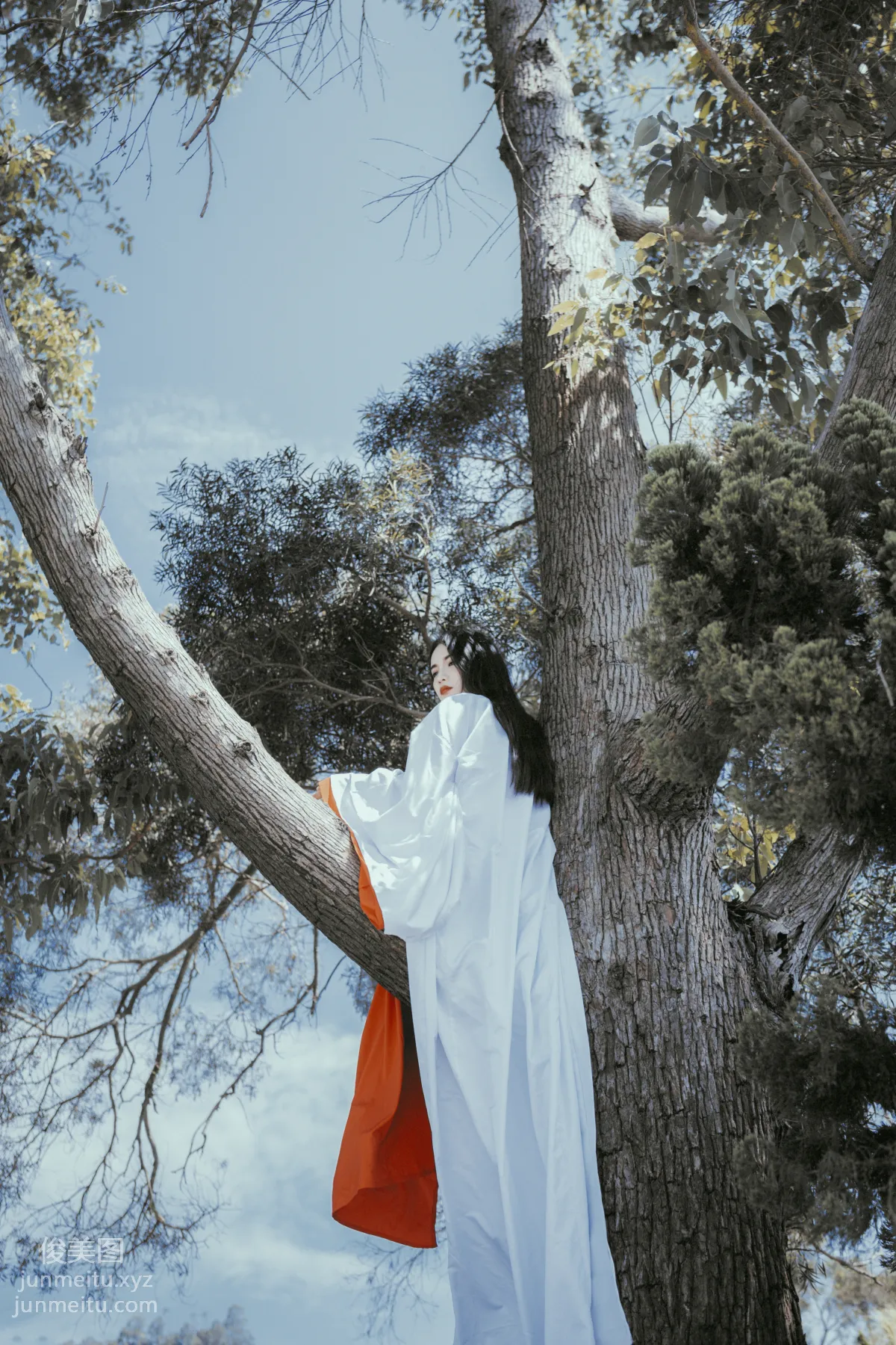 Ding Wen: YiTuYu photo 18