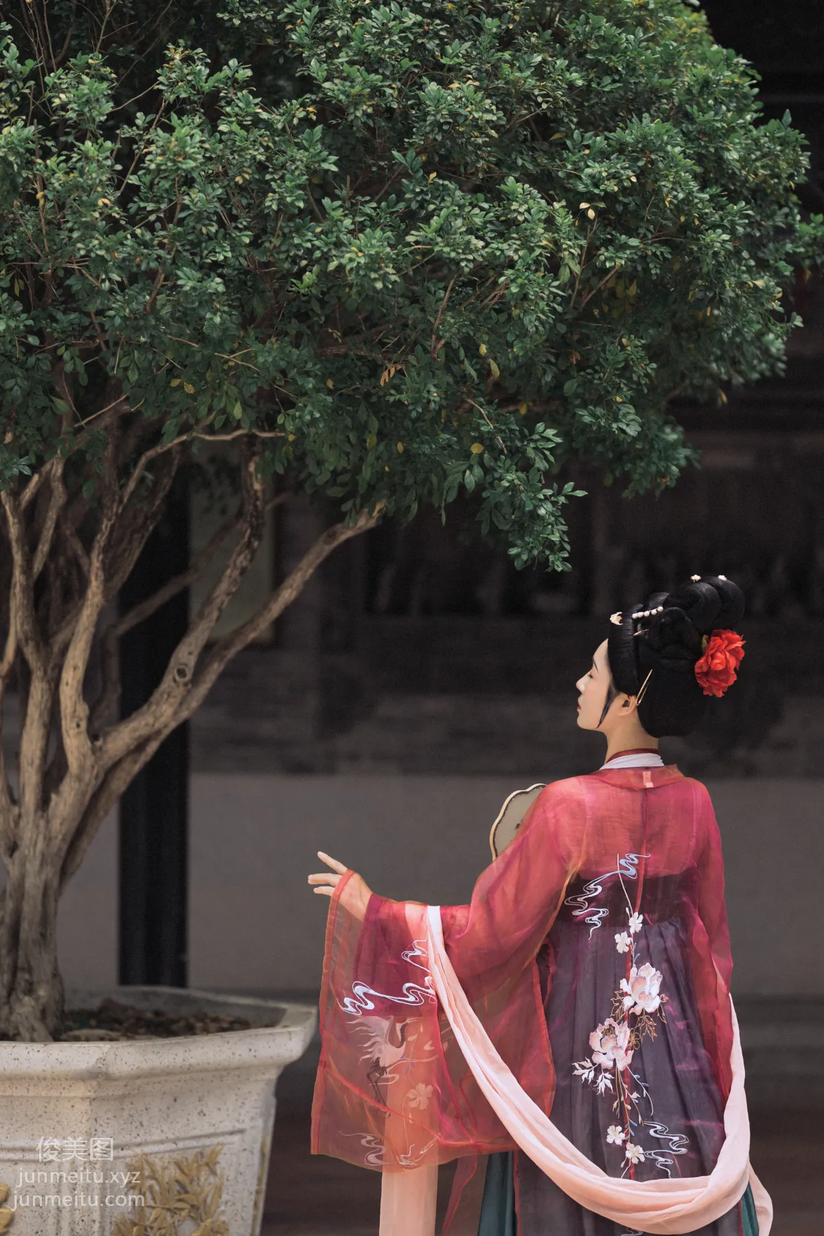 Rui Xue: YiTuYu photo 5