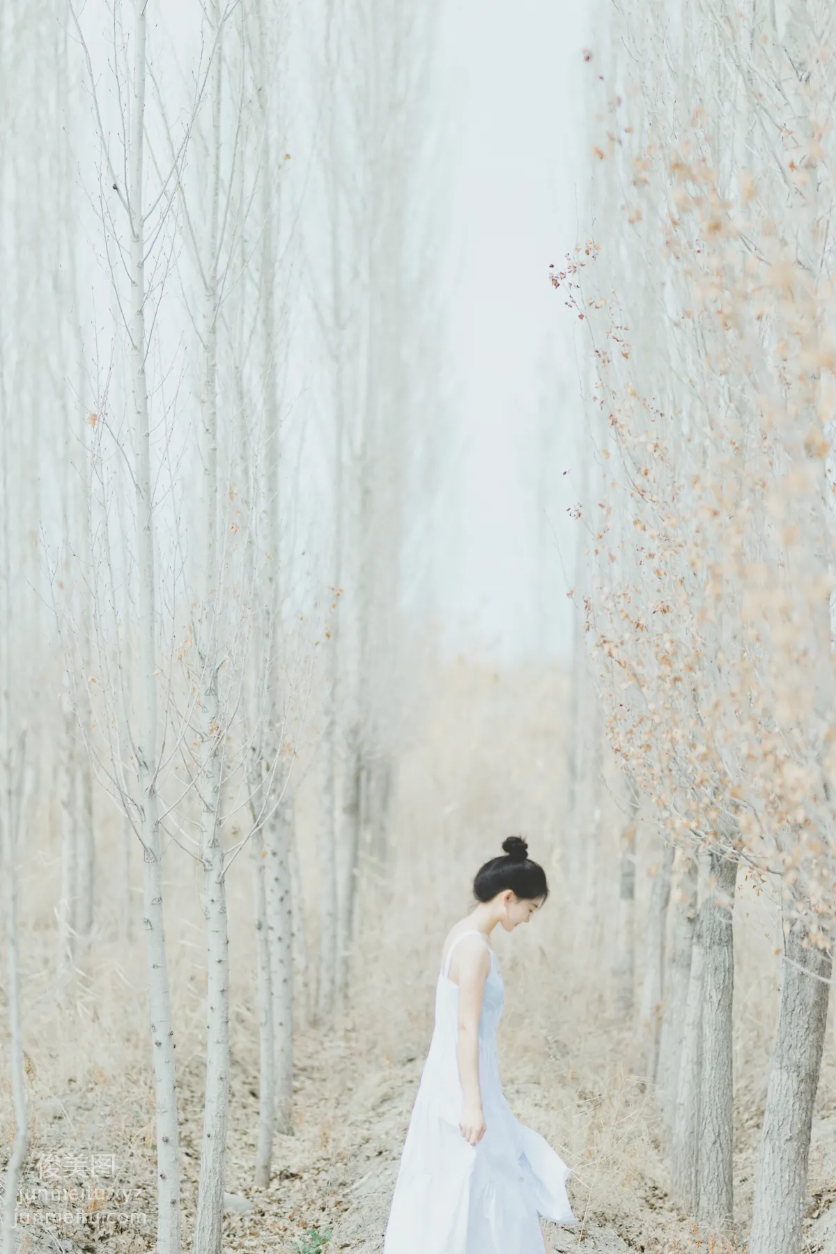 Ying Xia: YiTuYu photo 10