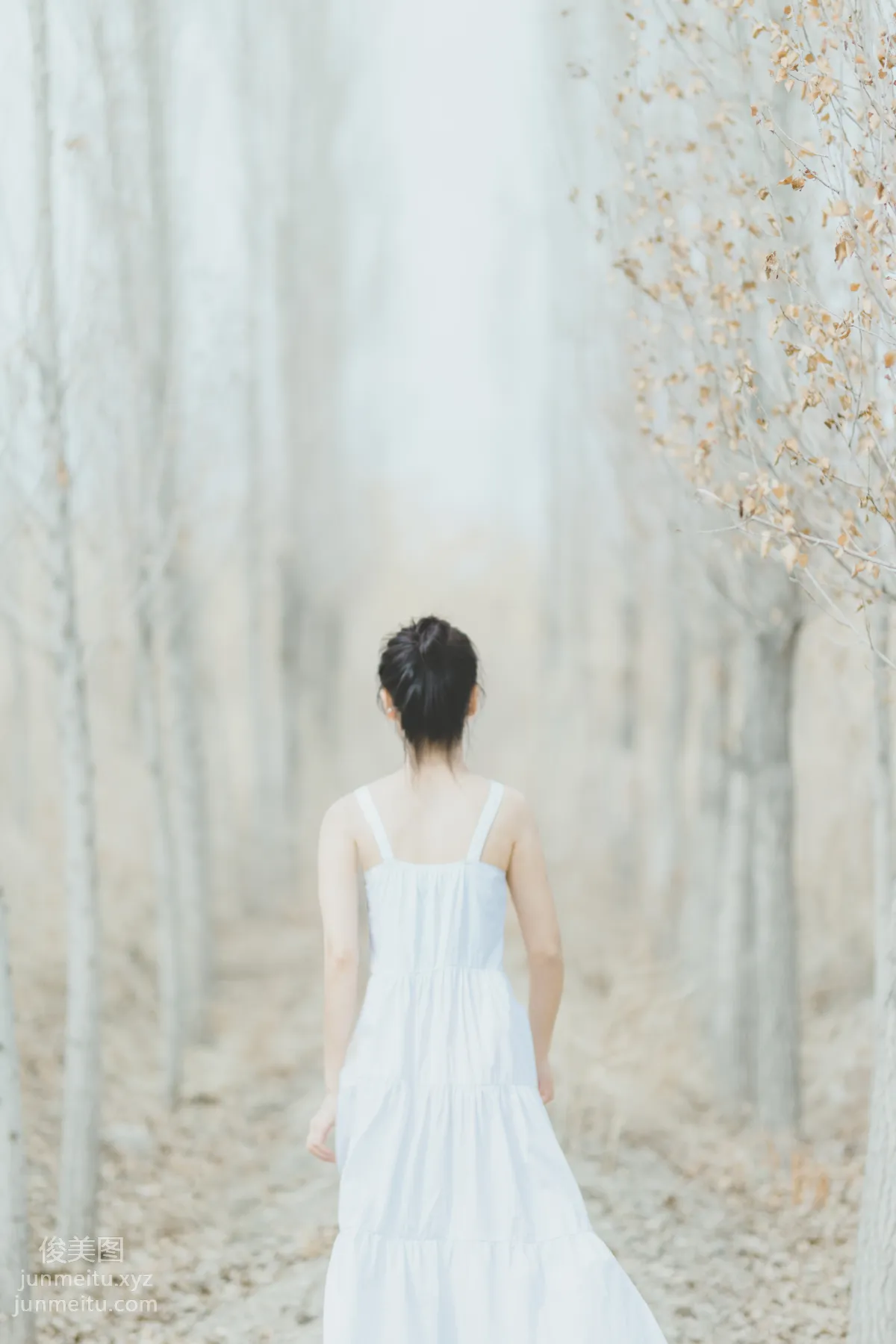 Ying Xia: YiTuYu photo 14