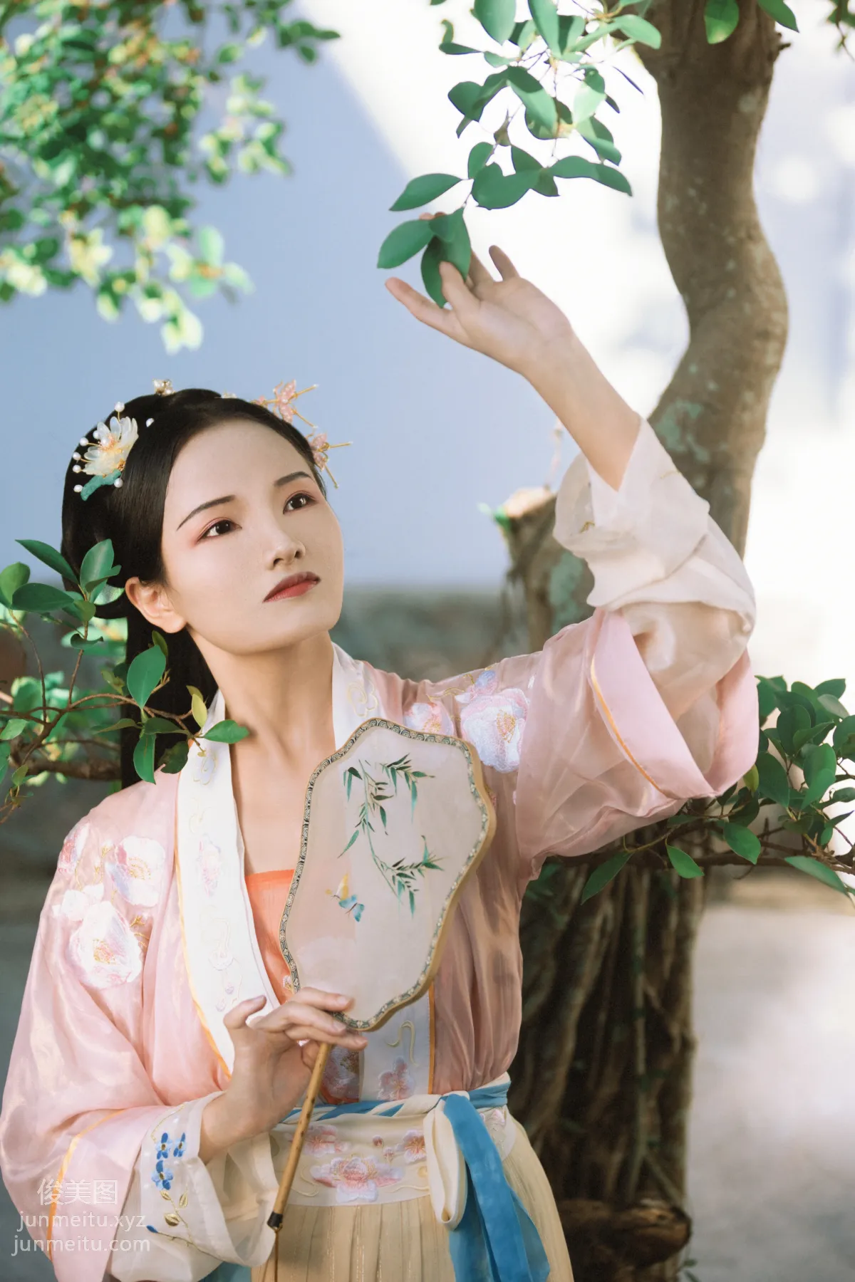 Qing Jiu: YiTuYu photo 4