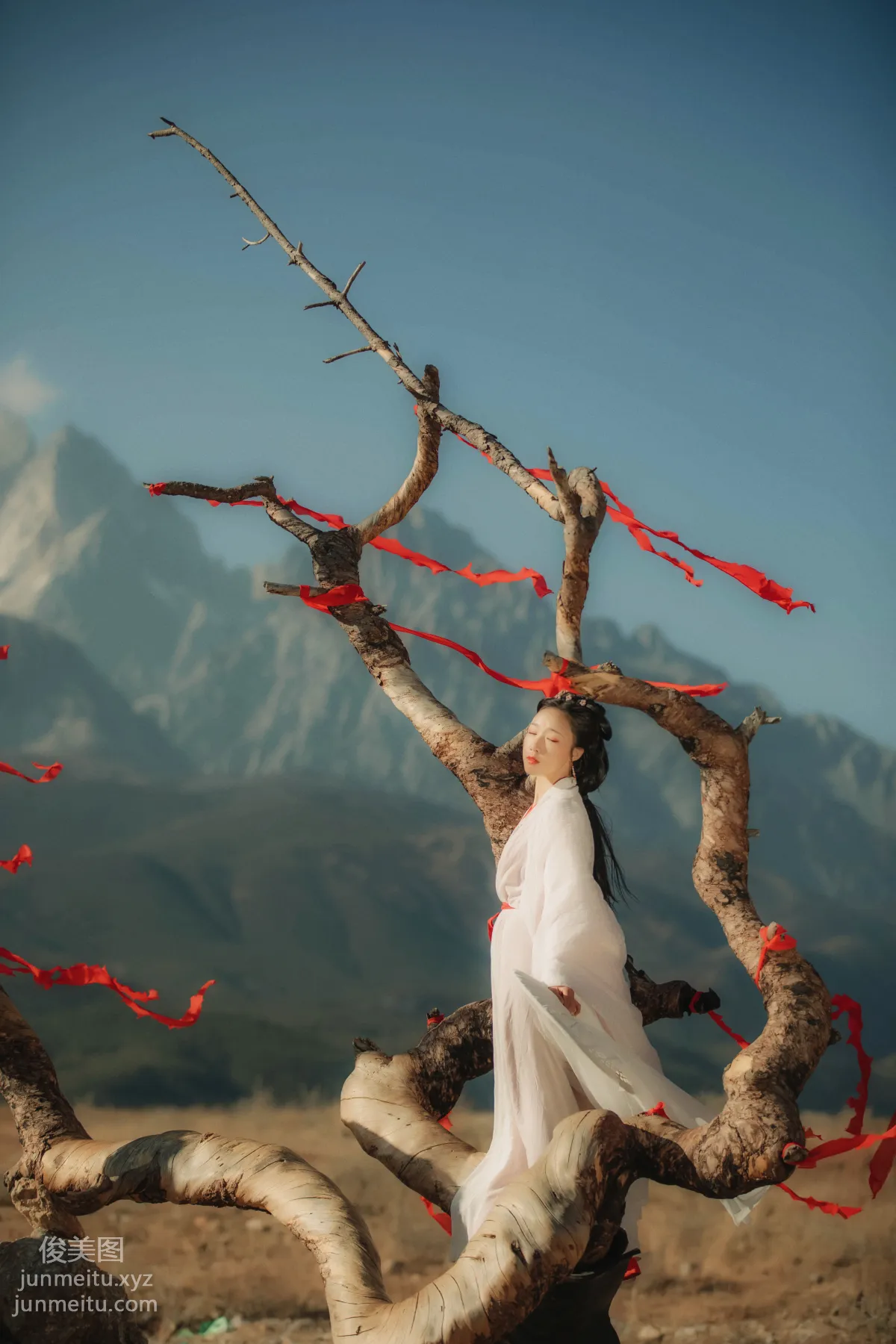 Liu Shao: YiTuYu photo 4
