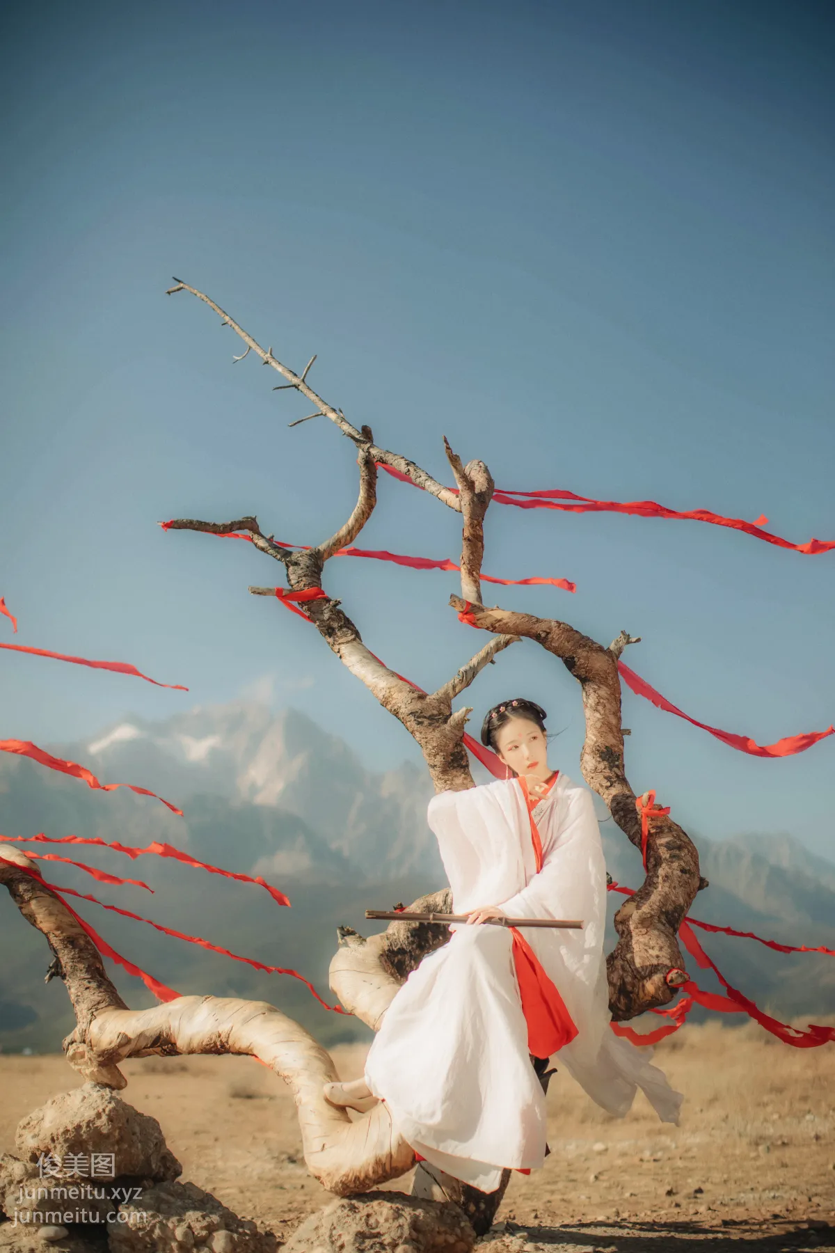 Liu Shao: YiTuYu photo 5