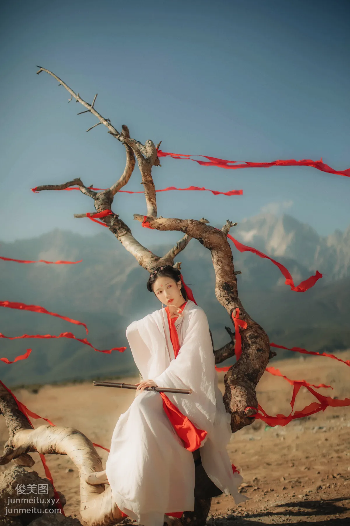 Liu Shao: YiTuYu photo 7