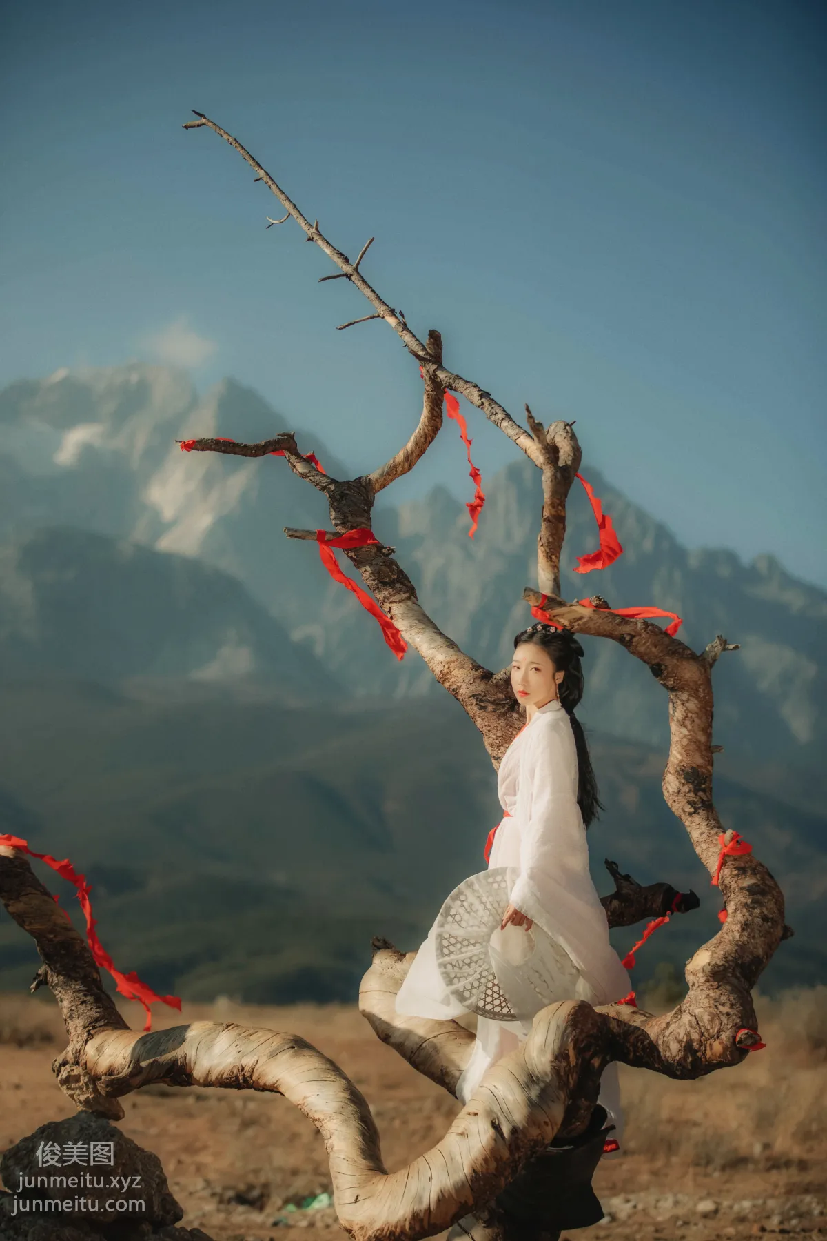 Liu Shao: YiTuYu photo 8