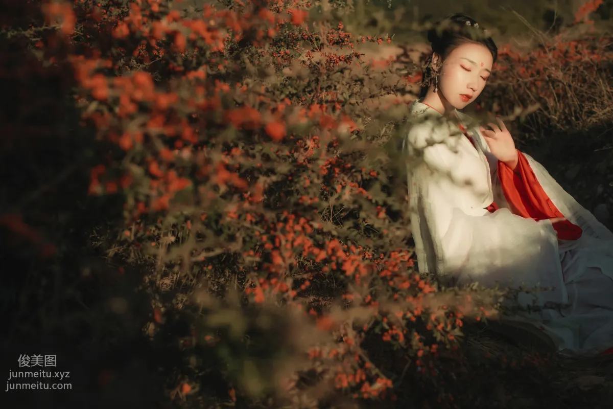 Liu Shao: YiTuYu photo 11