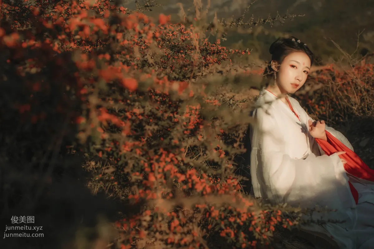 Liu Shao: YiTuYu photo 16