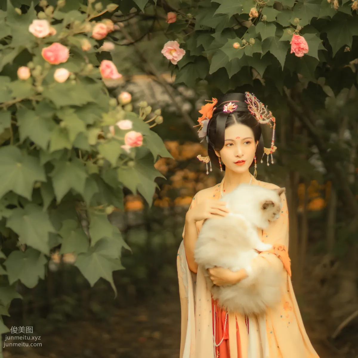 [YiTuYu] 2021.11.18 Furong Ci, Xiushui Ninghua photo 4